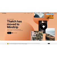 Thatch Logo - Daily Life Tool