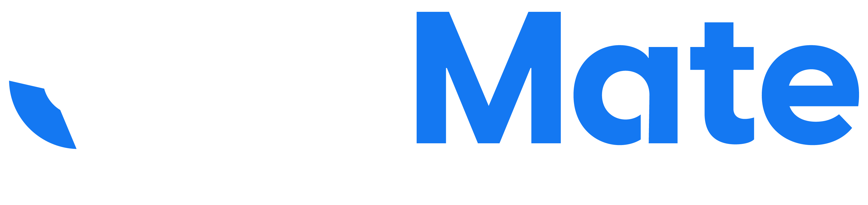 QuizMate Logo - Writing & Editing Tool