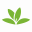 Pl@ntNet Logo - Image Analysis Tool