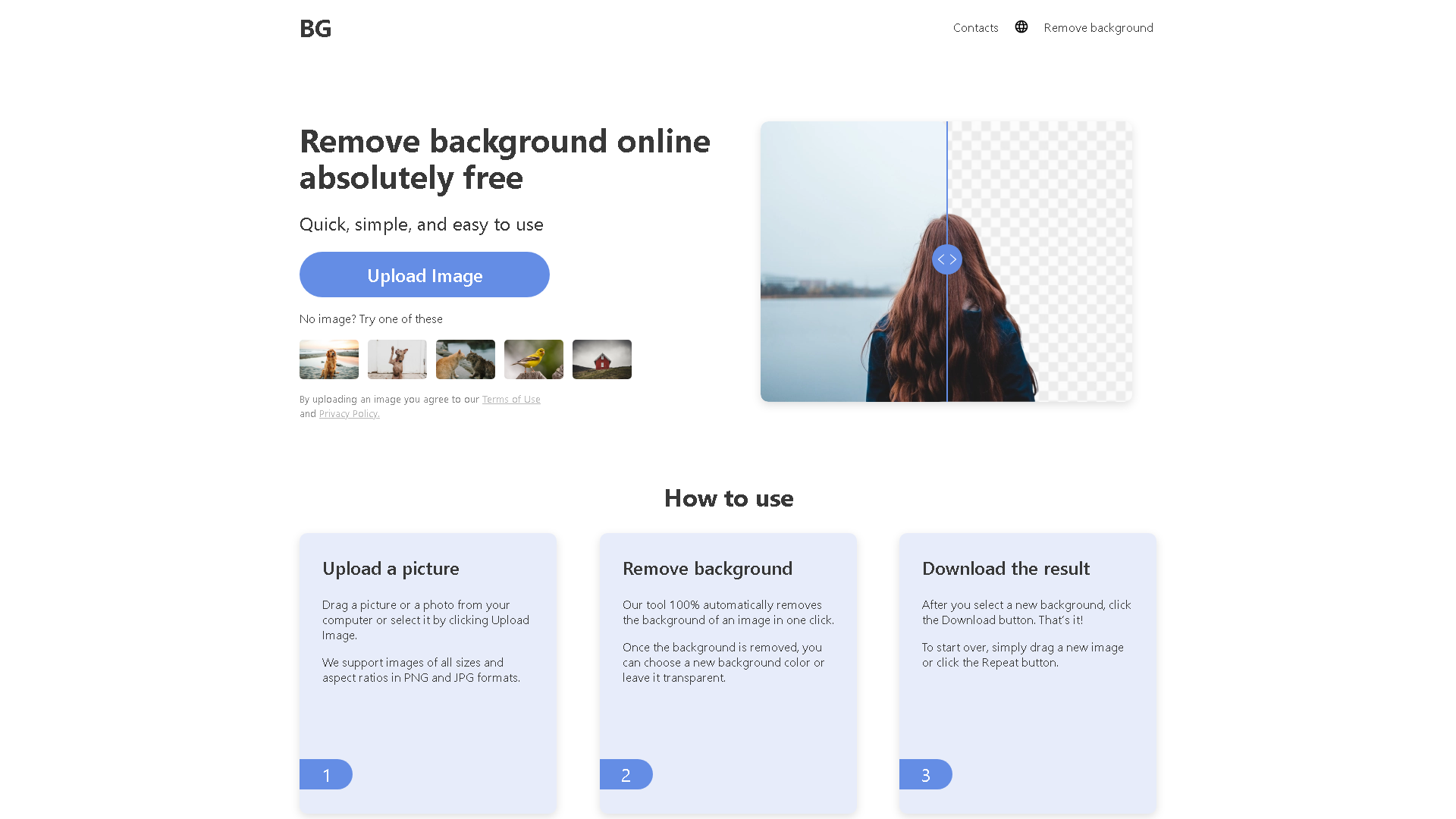 Remove Background Interface Screenshot - Image Generation & Editing Tool