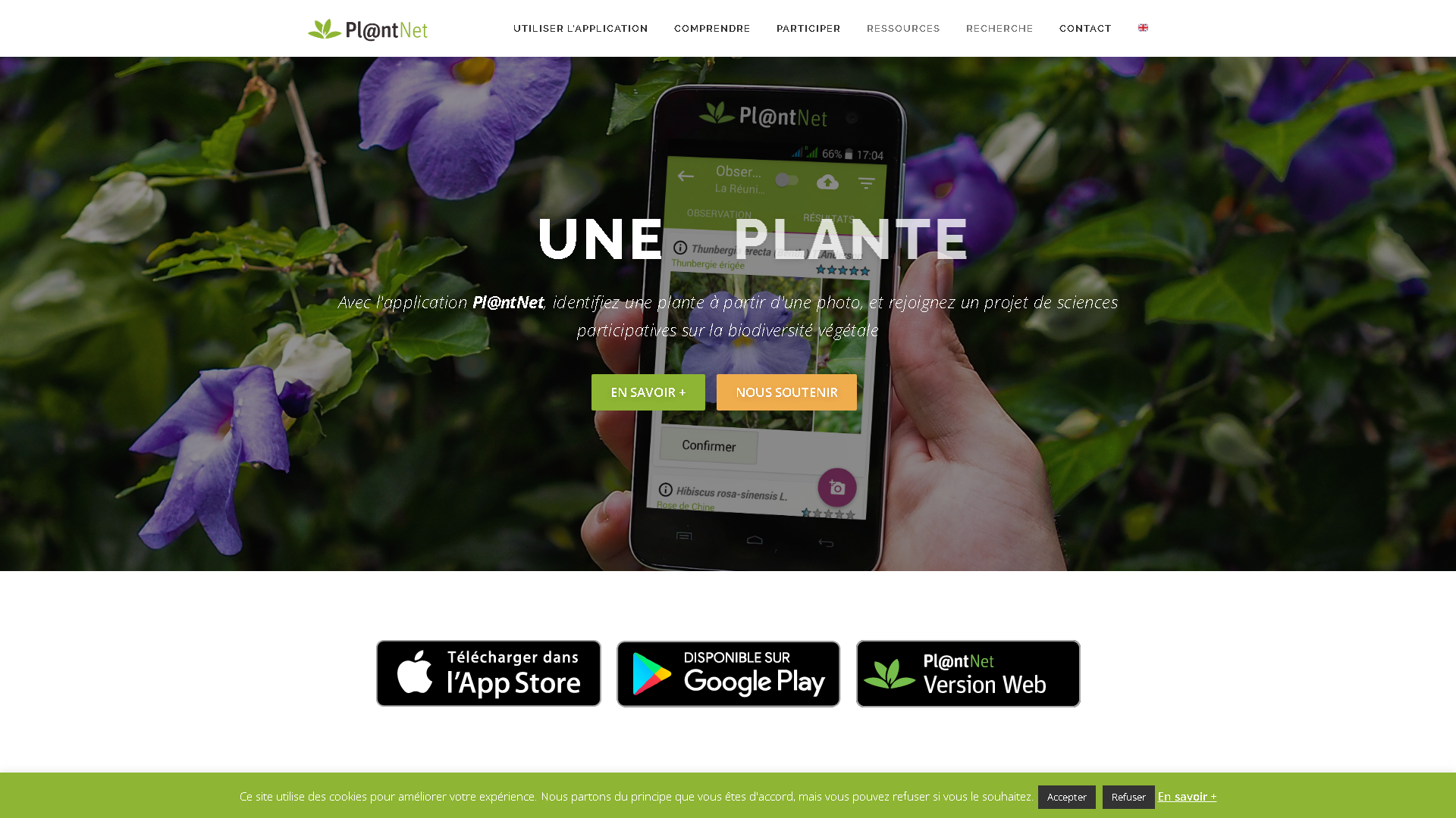 Pl@ntNet Interface Screenshot - Image Analysis Tool