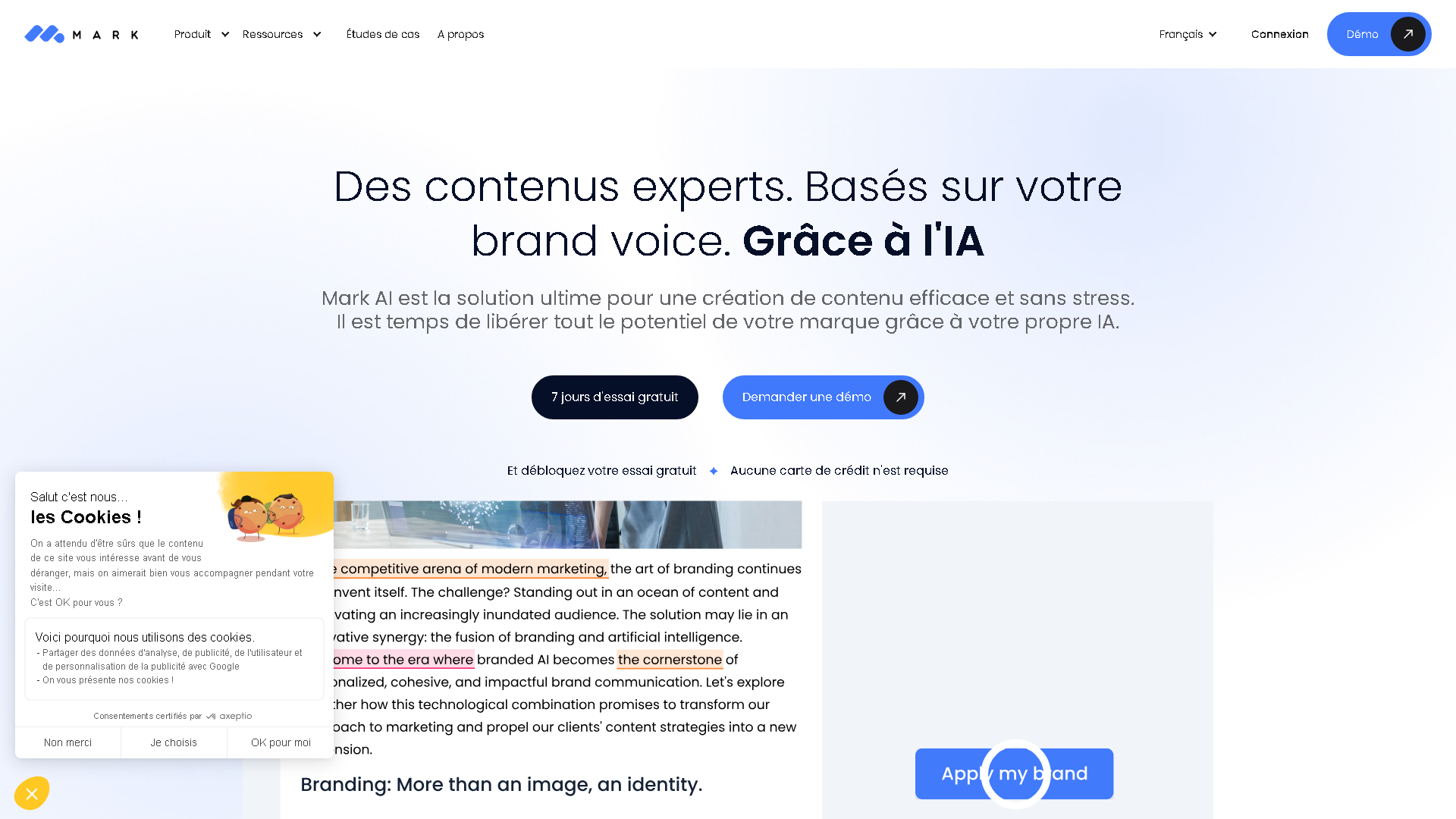 Mark Copy AI Interface Screenshot - Writing & Editing Tool