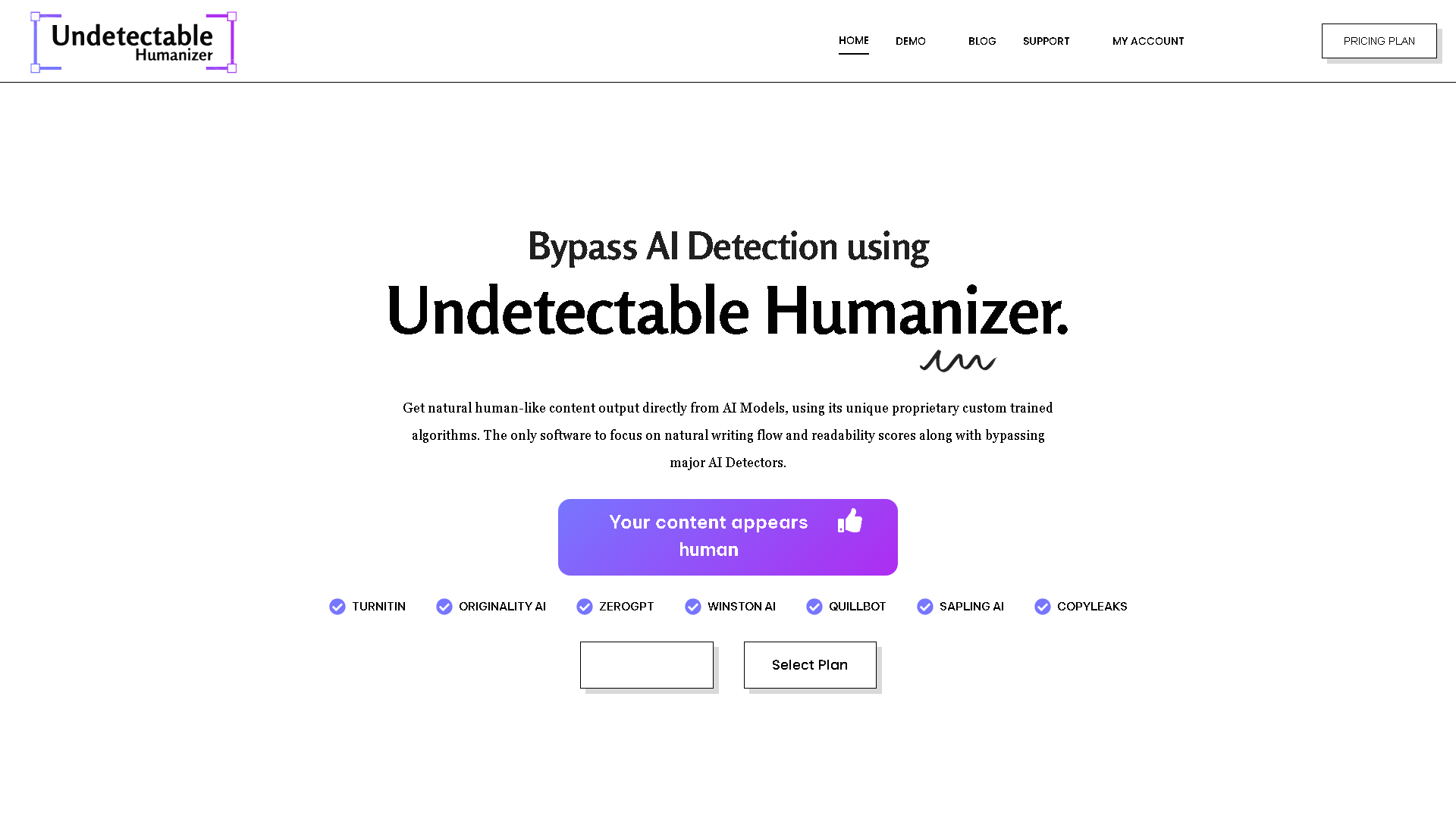 Undetectable Humanizer Interface Screenshot - Writing & Editing Tool