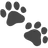 Pet Lens AI Logo - Art & Creative Design Tool