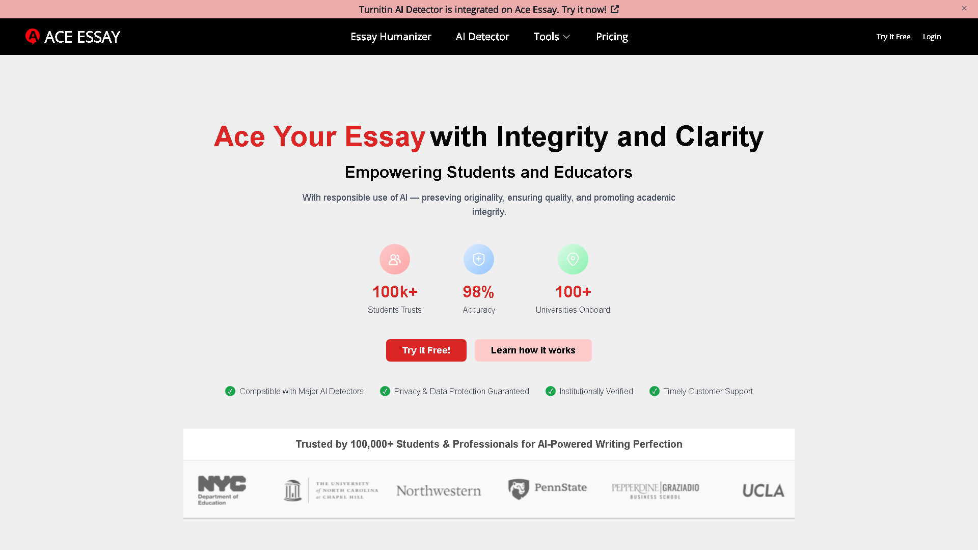 ACE ESSAY Interface Screenshot - Writing & Editing Tool