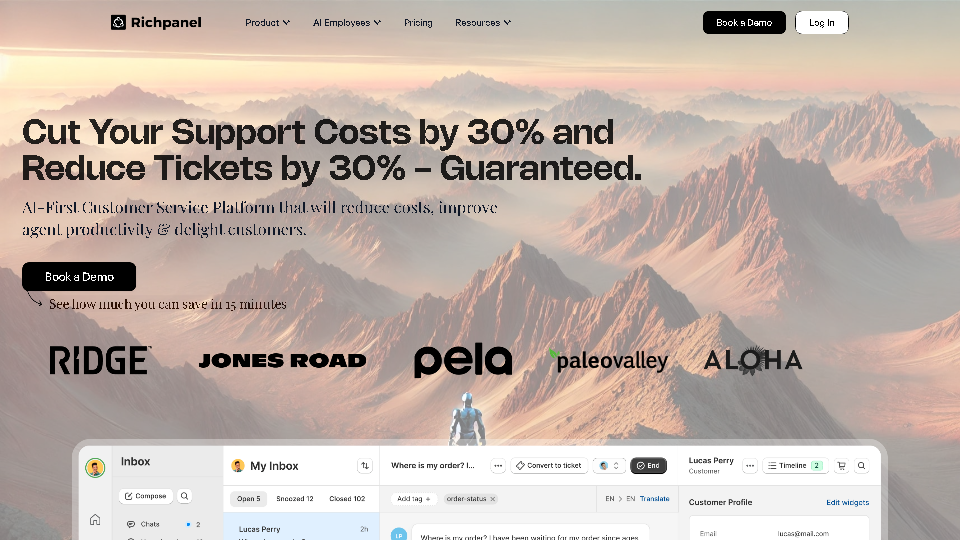 Richpanel Interface Screenshot - Social Media Tool
