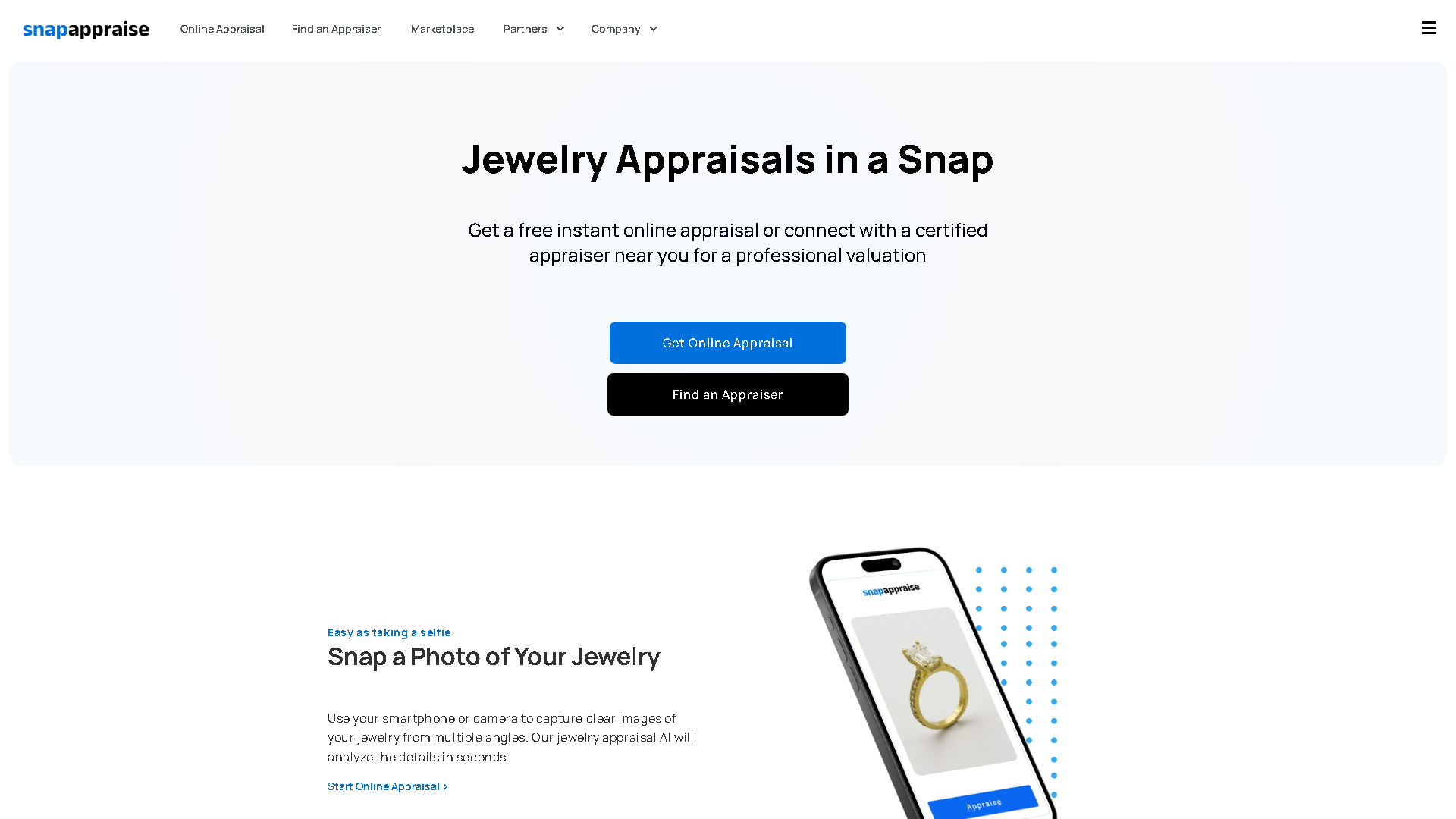SnapAppraise Interface Screenshot - Image Analysis Tool