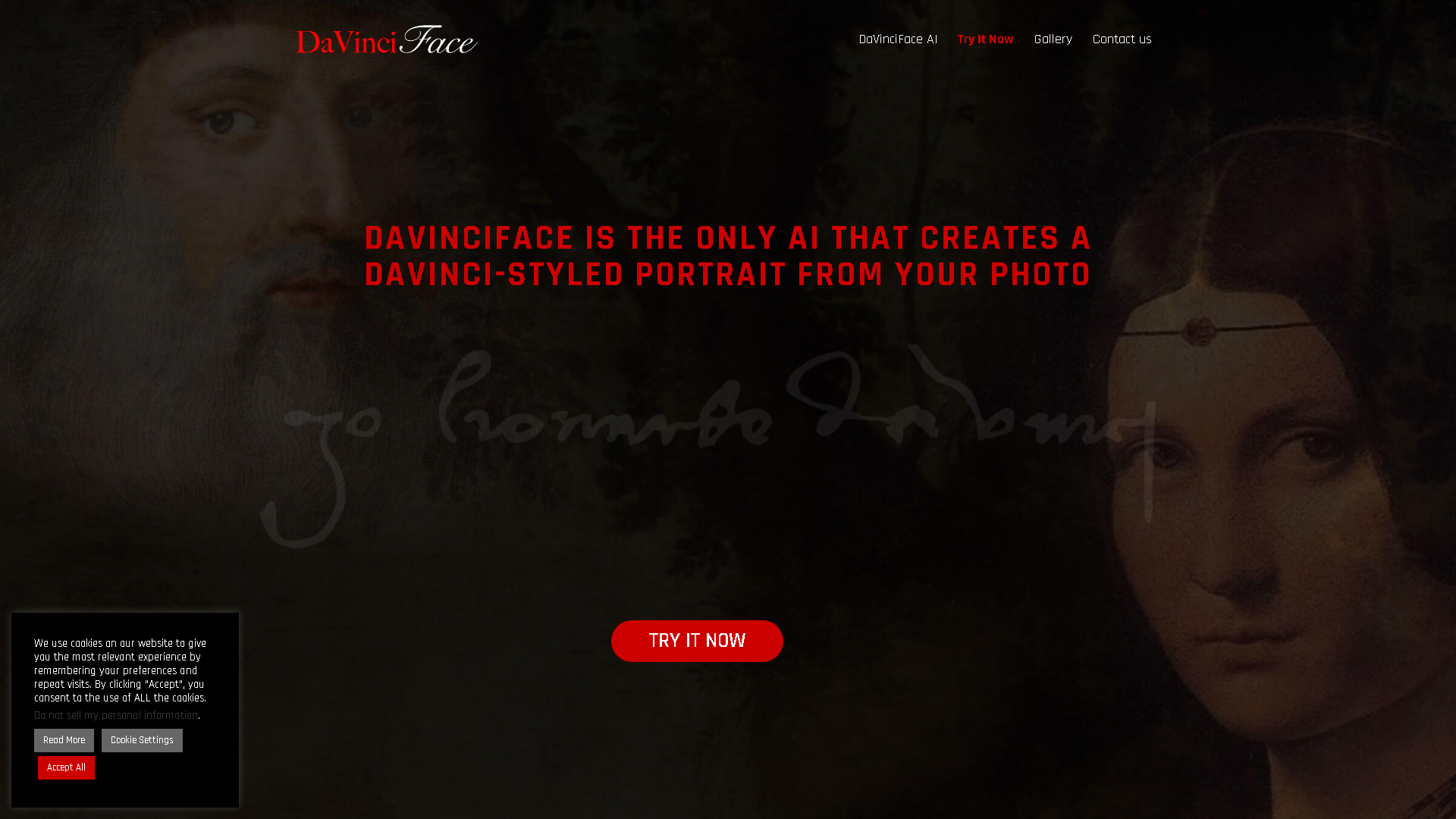 DaVinciFace Interface Screenshot - Art & Creative Design Tool