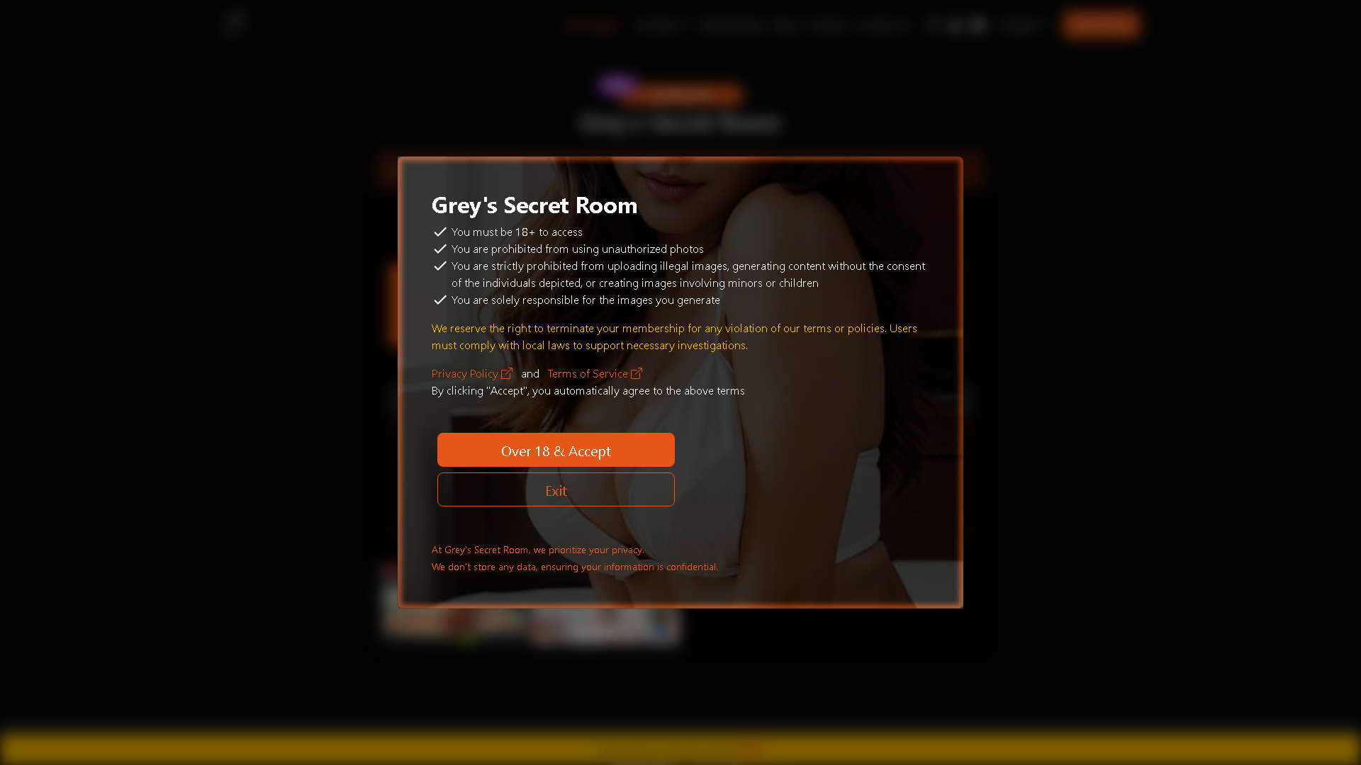Grey's Secret Room Interface Screenshot - Image Generation & Editing Tool