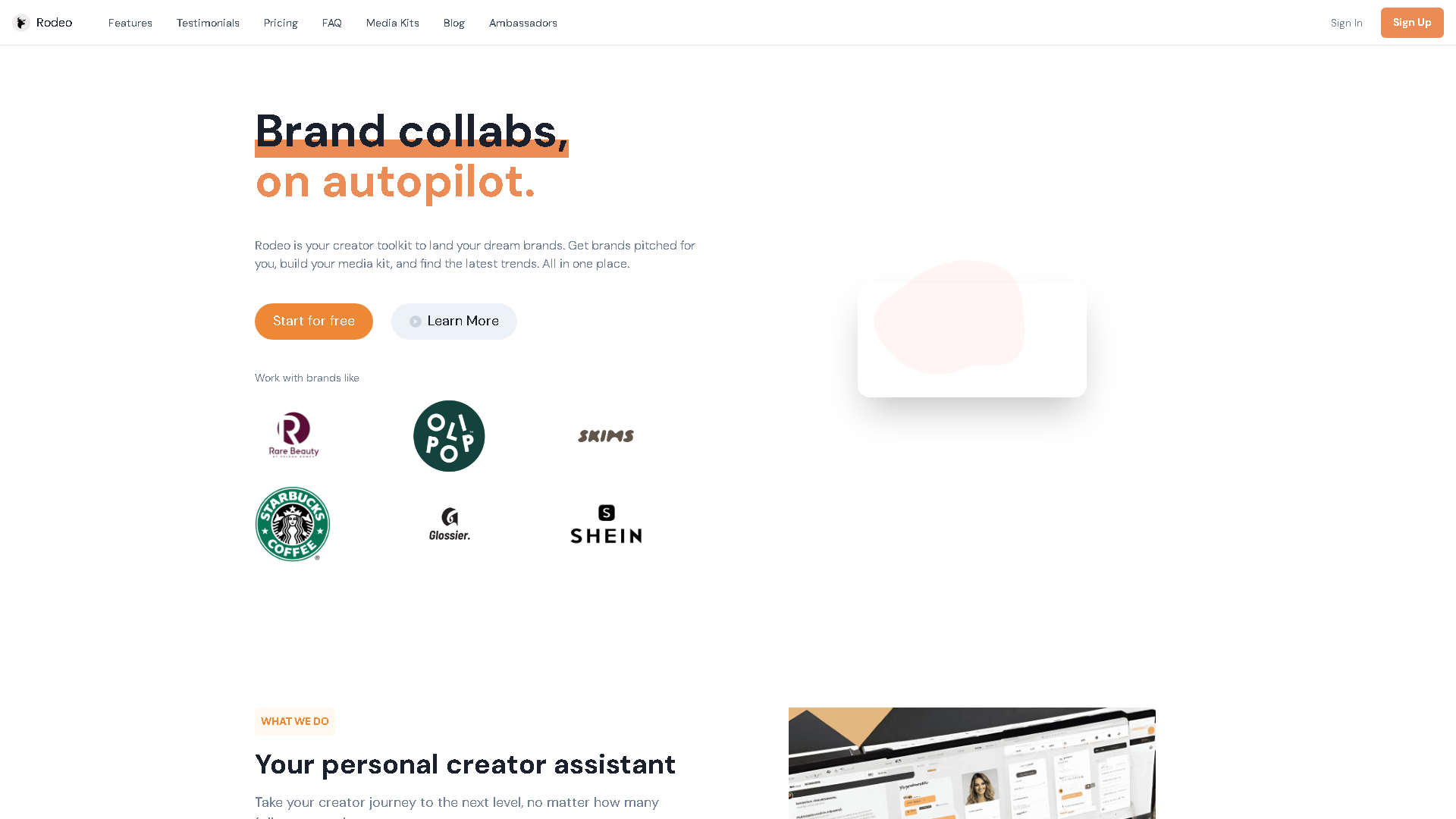 Rodeo Interface Screenshot - Marketing & SEO Tool