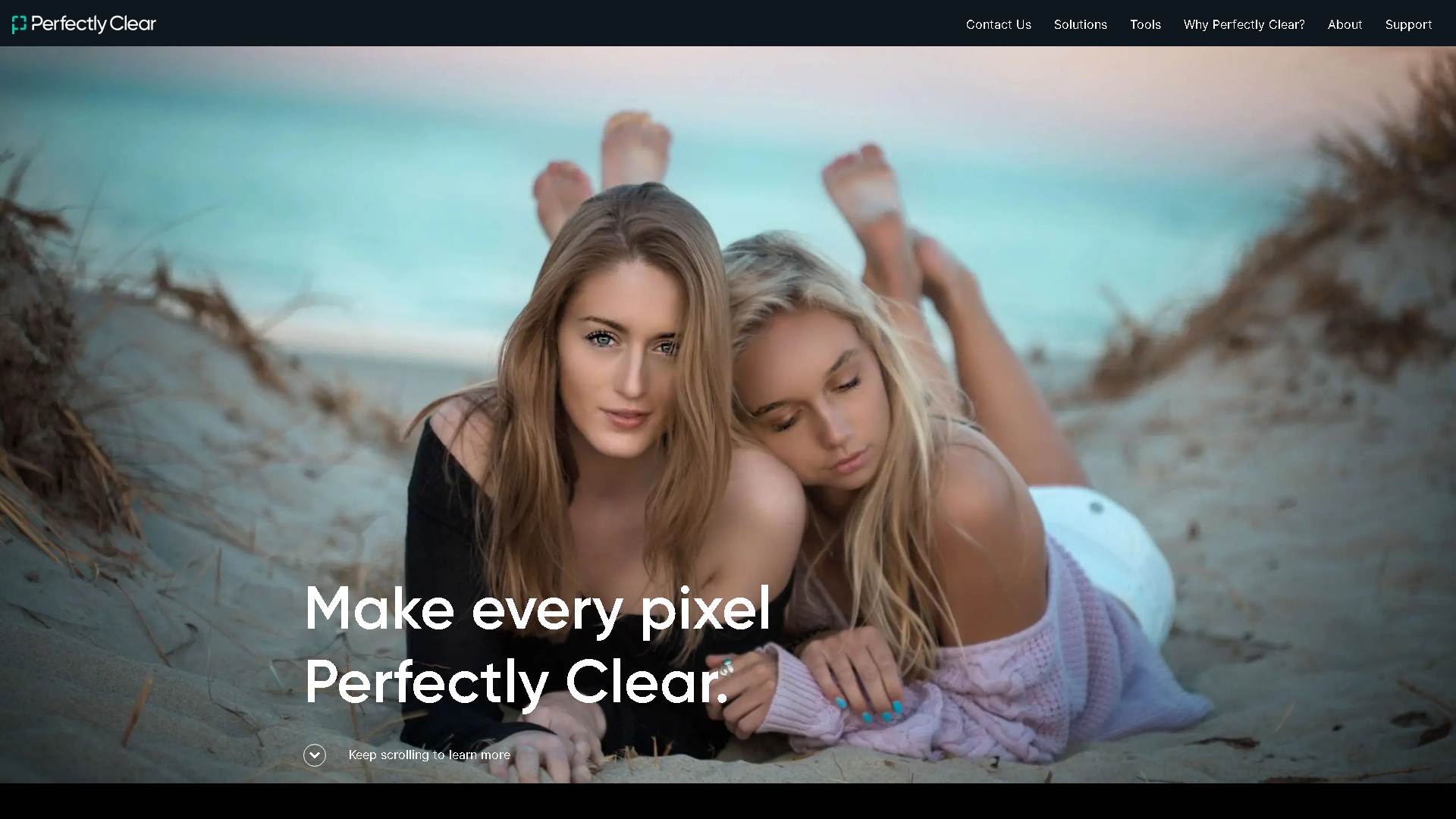 Perfectly Clear Interface Screenshot - Image Generation & Editing Tool