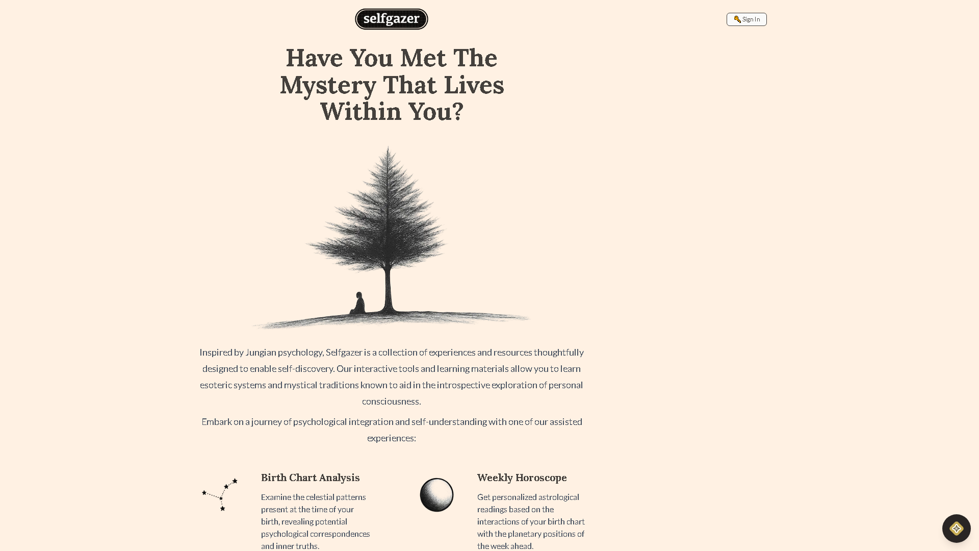 Selfgazer Interface Screenshot - Daily Life Tool
