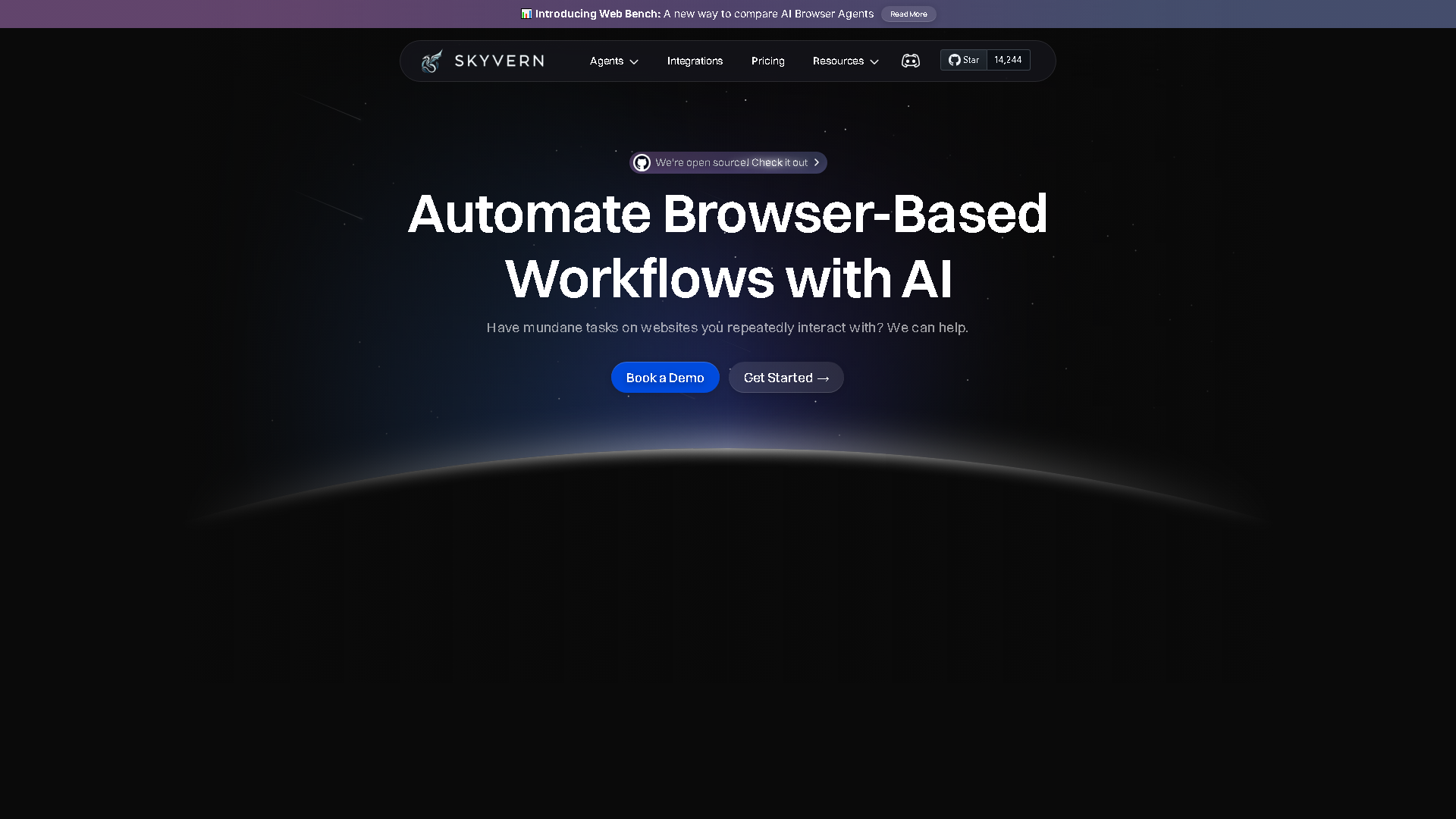 Skyvern Interface Screenshot - Development & APIs Tool