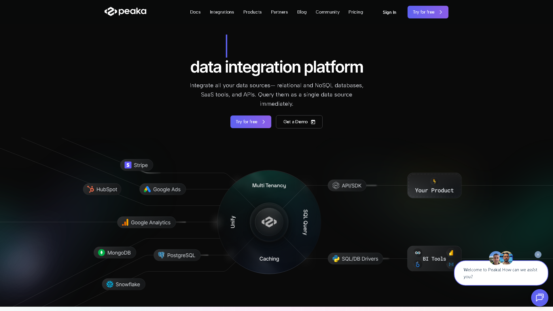 Peaka Interface Screenshot - Coding & Development Tool