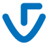 Visage Technologies Logo - Image Analysis Tool