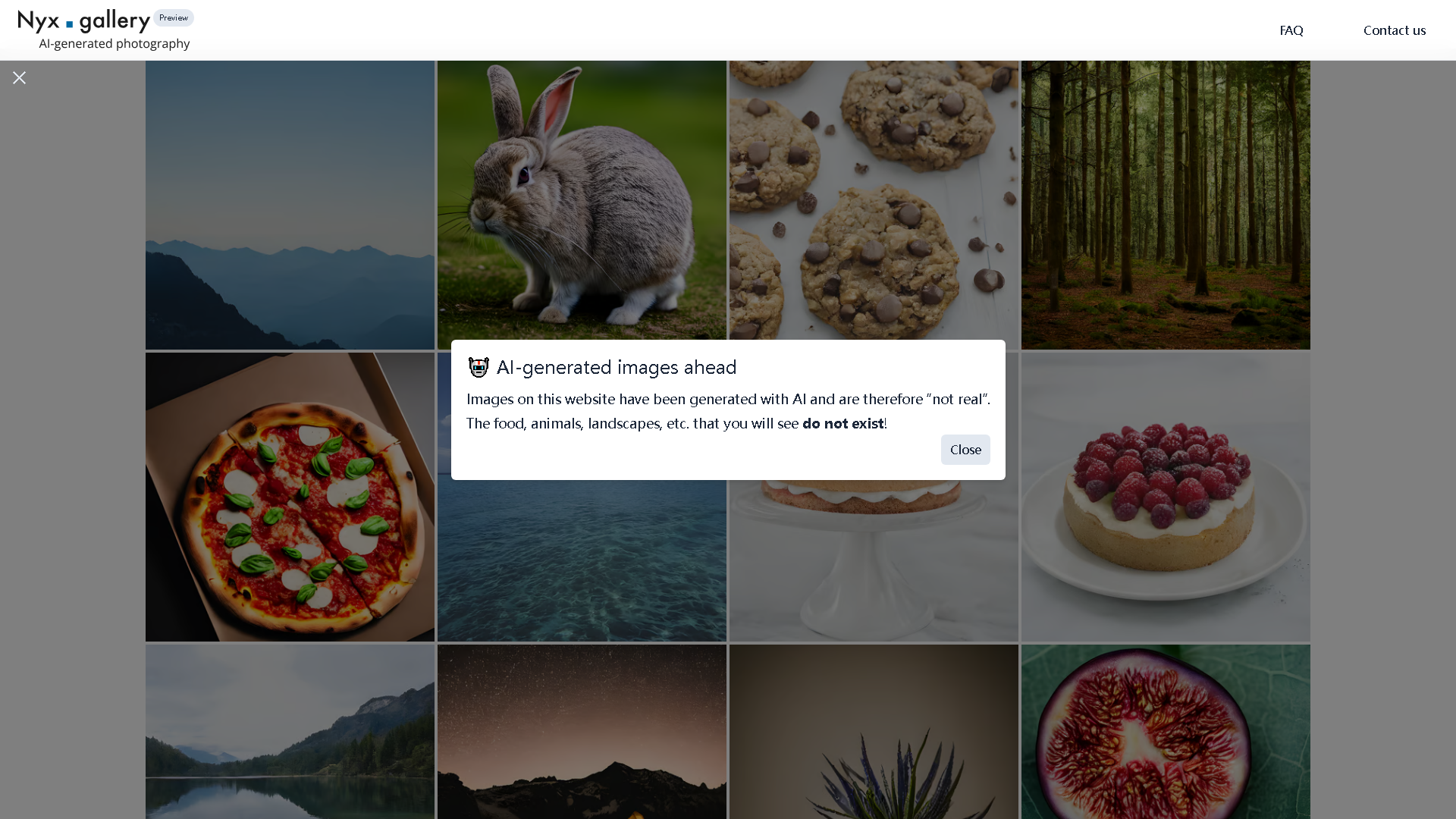 Nyx.gallery & Mailchimp Interface Screenshot - Art & Creative Design Tool