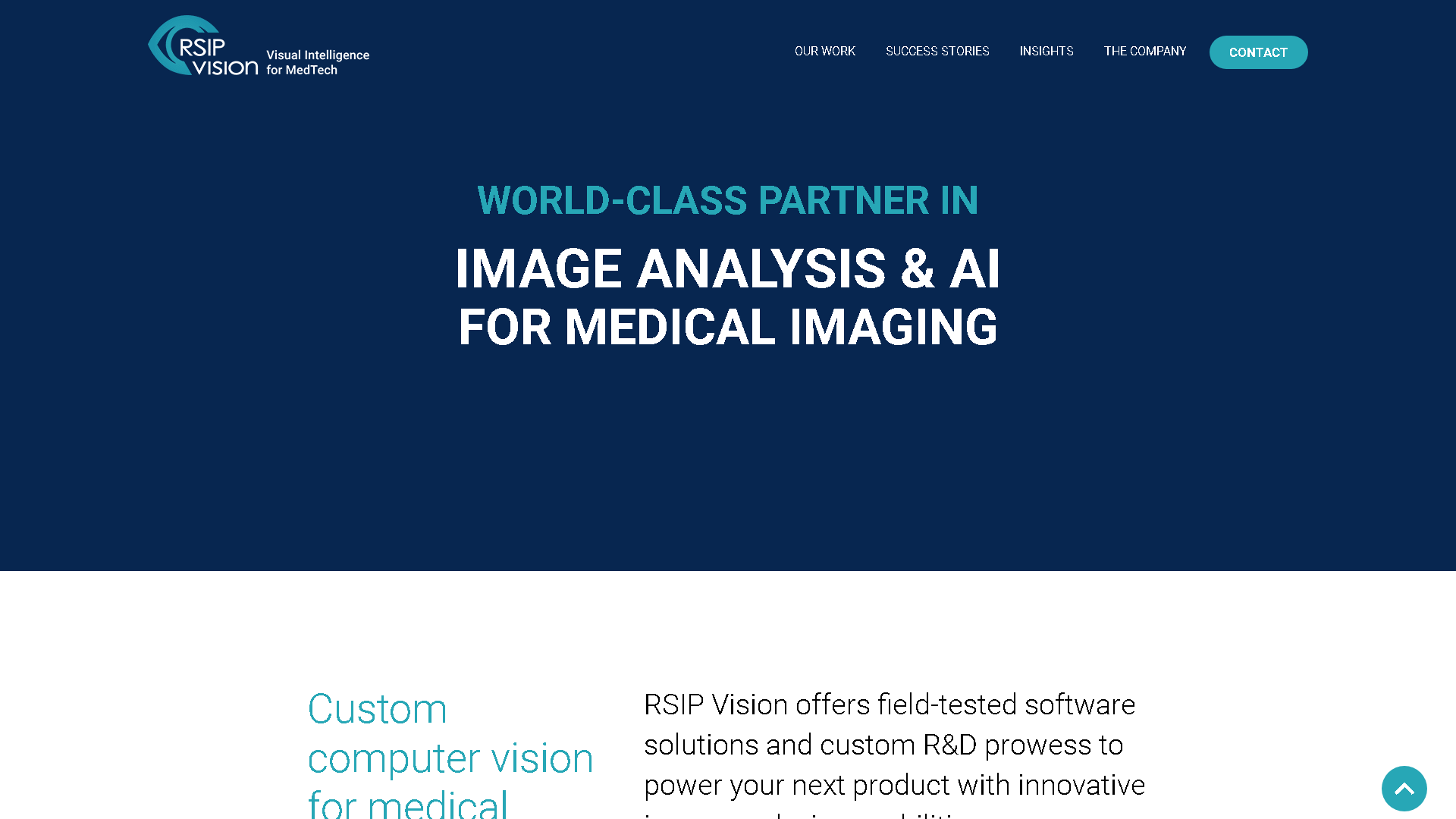 RSIP Vision Interface Screenshot - Image Analysis Tool
