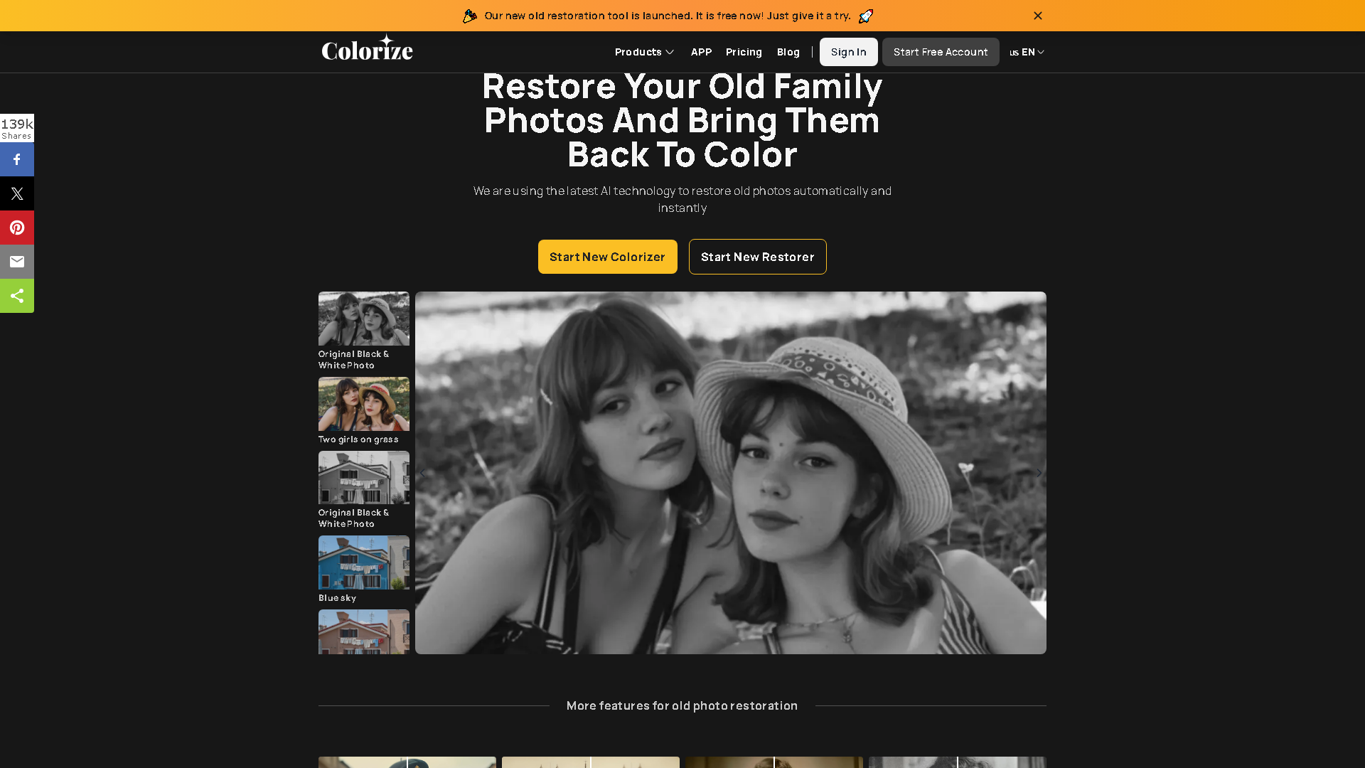ImageColorizer Interface Screenshot - Image Generation & Editing Tool