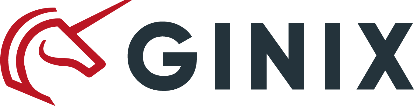 GINIX Logo - Social Media Tool