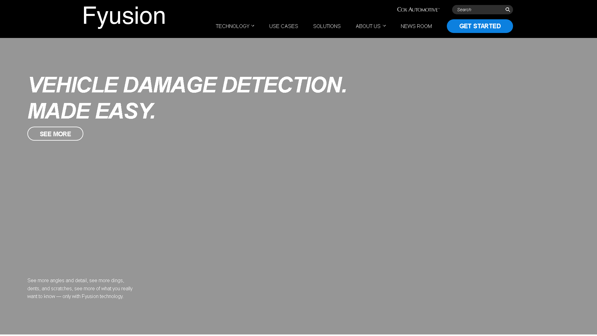 Fyusion Interface Screenshot - Image Analysis Tool
