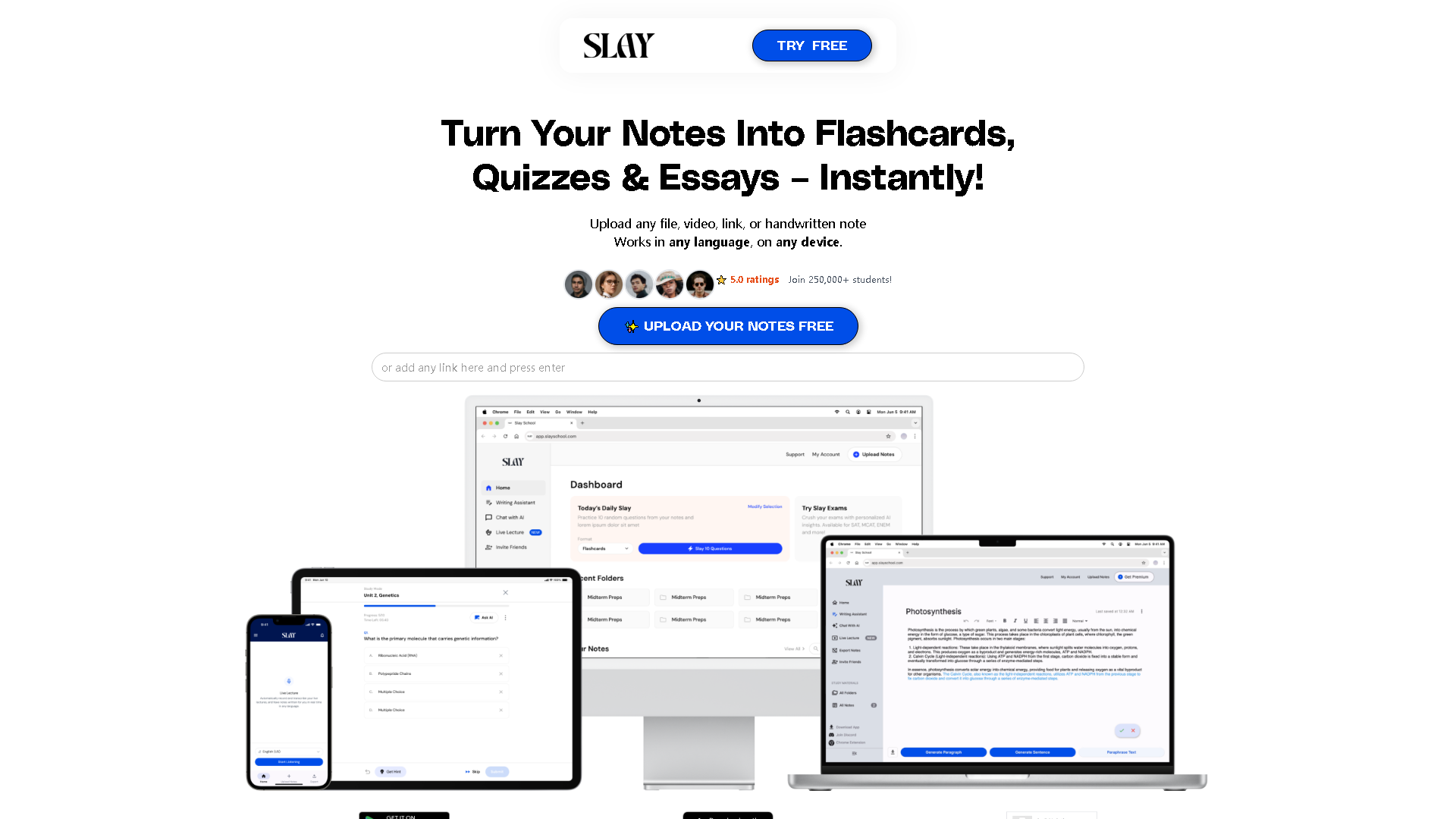 Slay School Interface Screenshot - Writing & Editing Tool