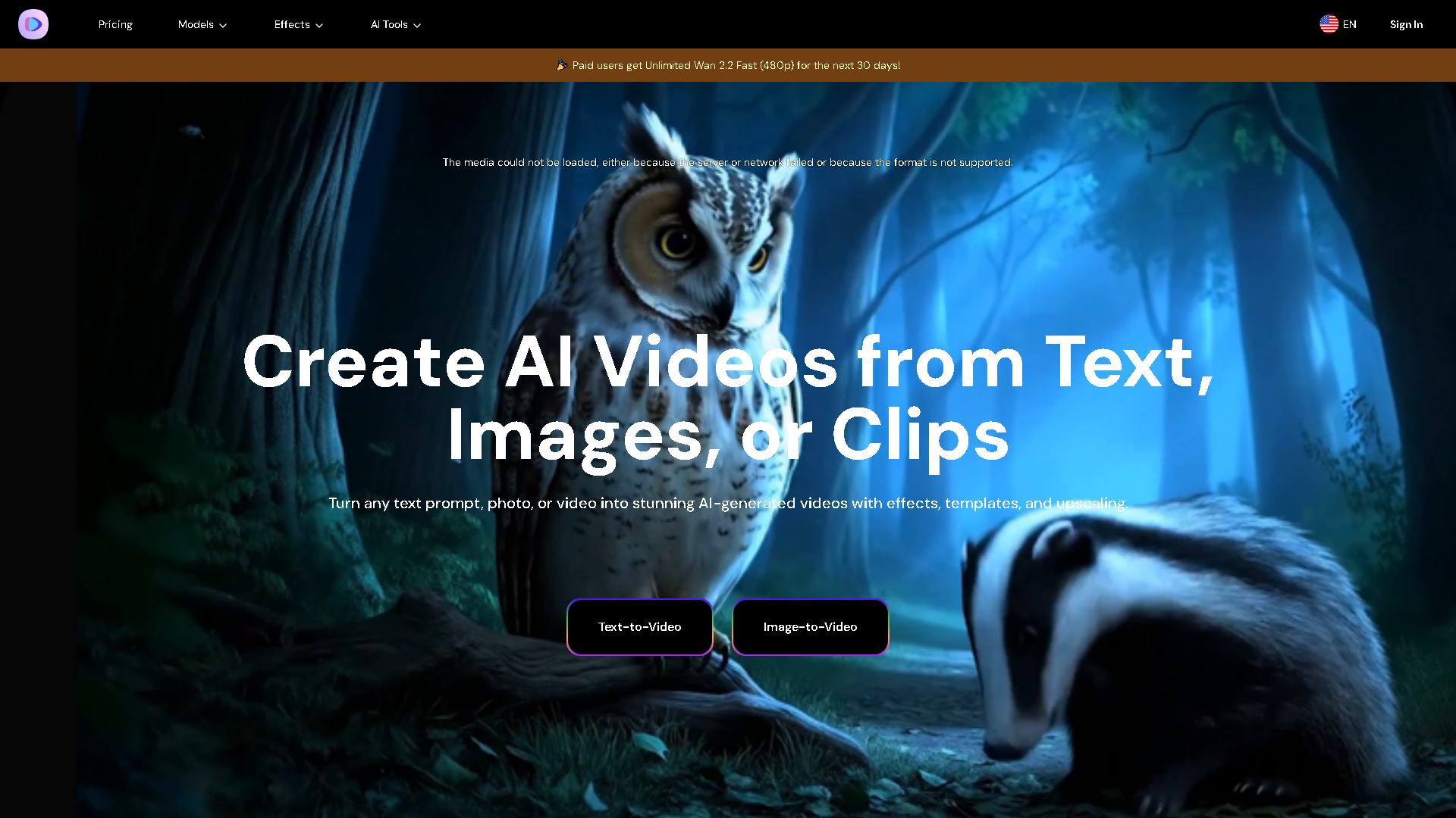 Image-to-Video Maker Interface Screenshot - Video & Animation Tool
