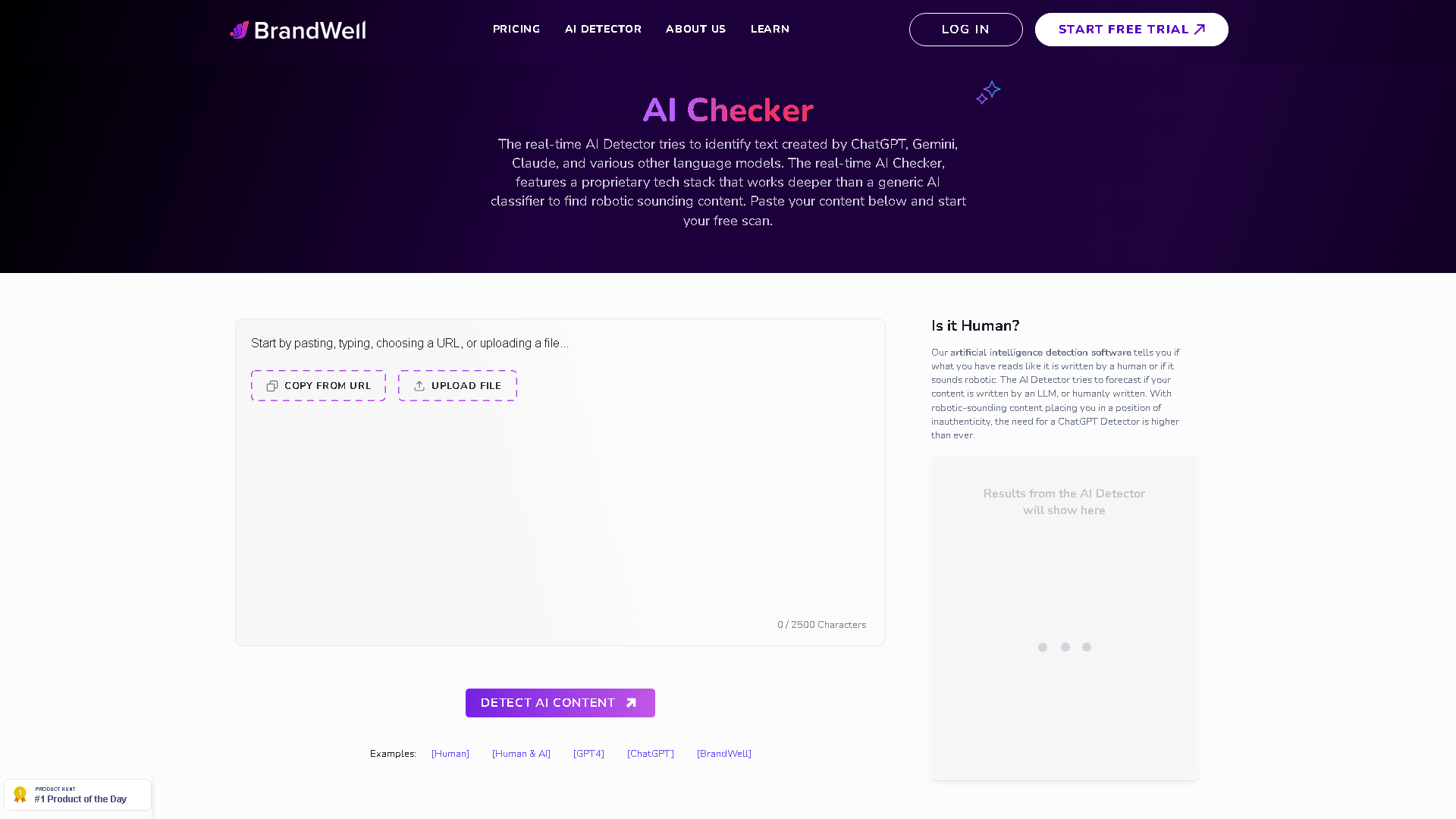 ContentDetector.AI Interface Screenshot - AI Detection & Anti-Detection Tool