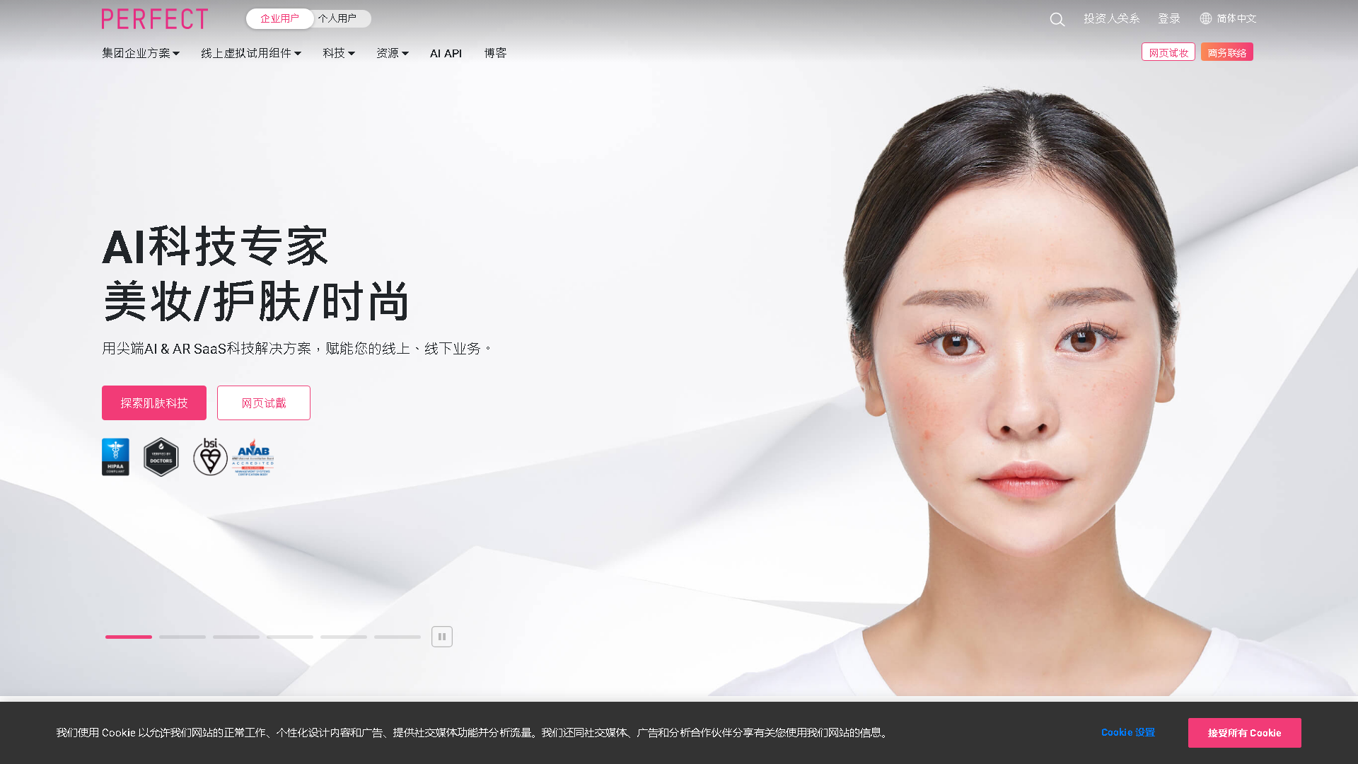 YouCam App Provider Interface Screenshot - Image Generation & Editing Tool