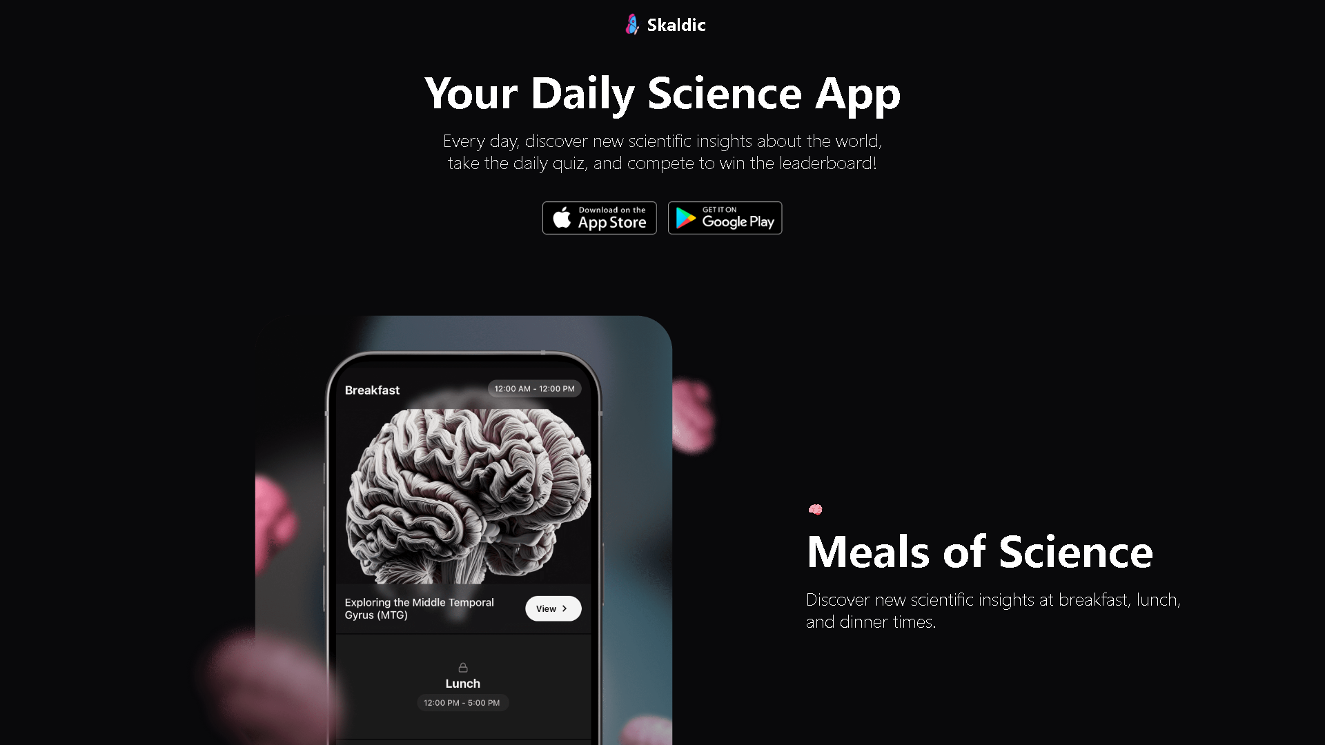 Skaldic Interface Screenshot - Education & Learning Tool