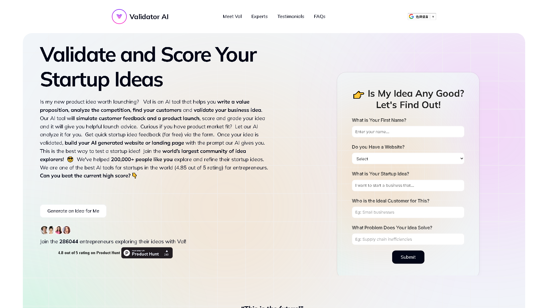 ValidatorAI Interface Screenshot - Business Research Tool