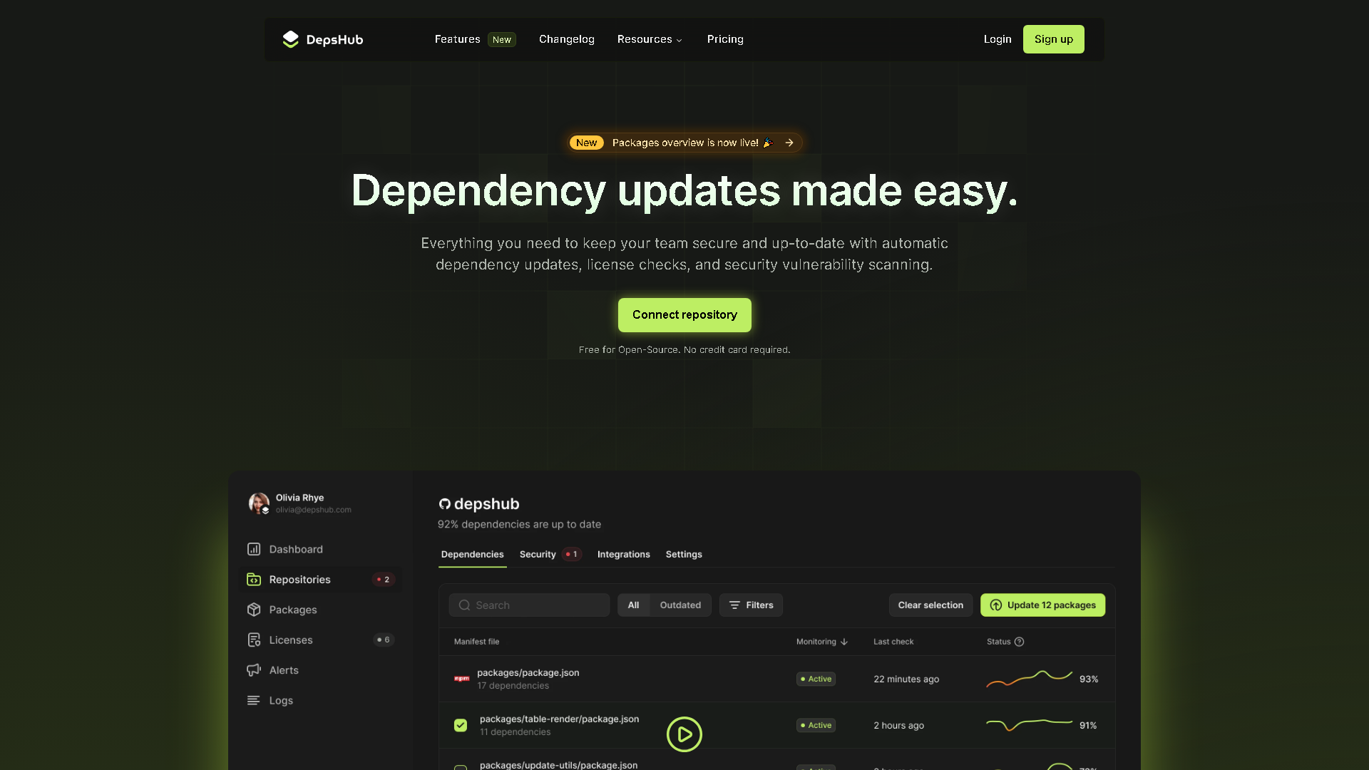 DepsHub Interface Screenshot - Coding & Development Tool