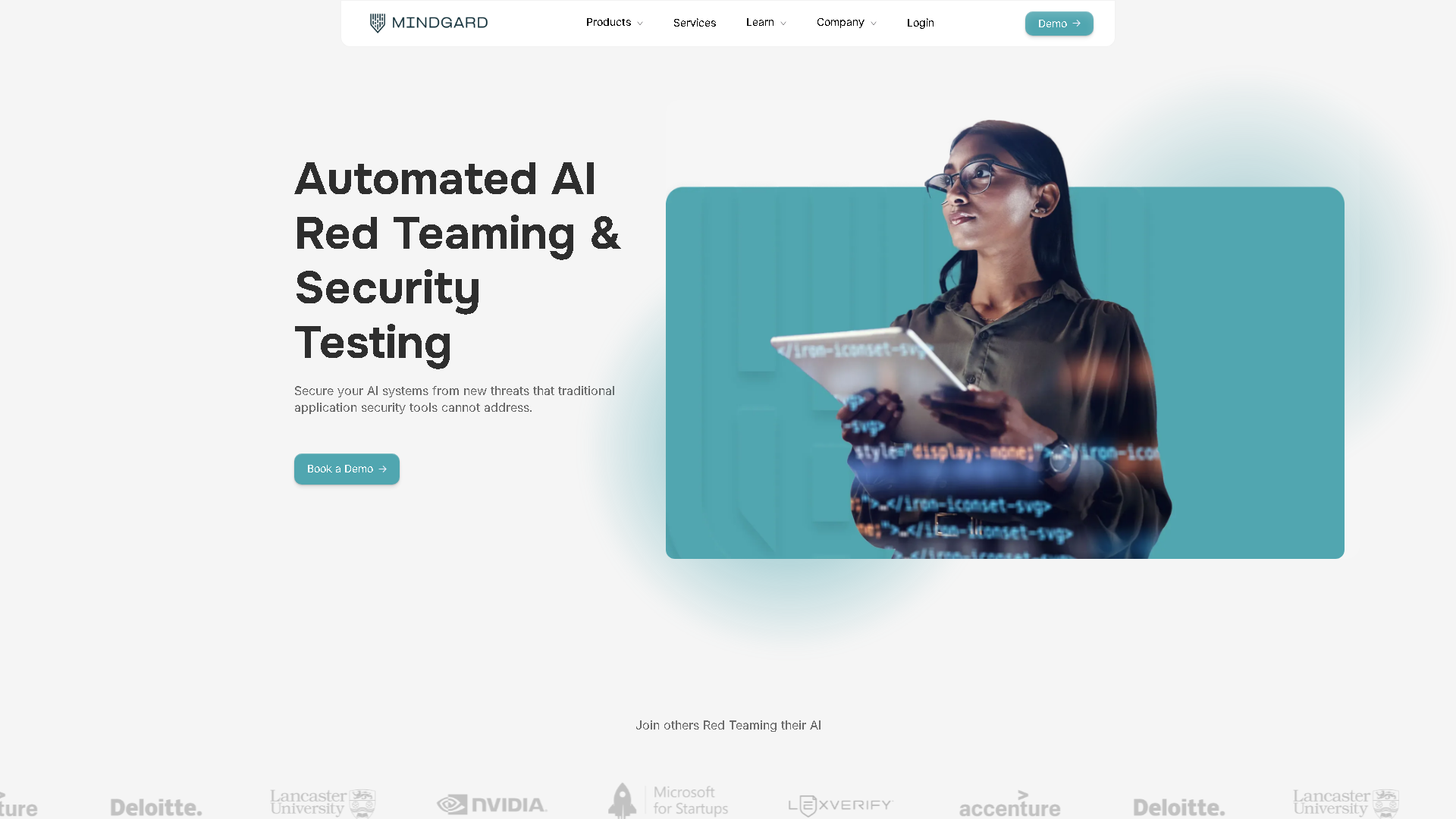 Mindgard Interface Screenshot - Development & APIs Tool