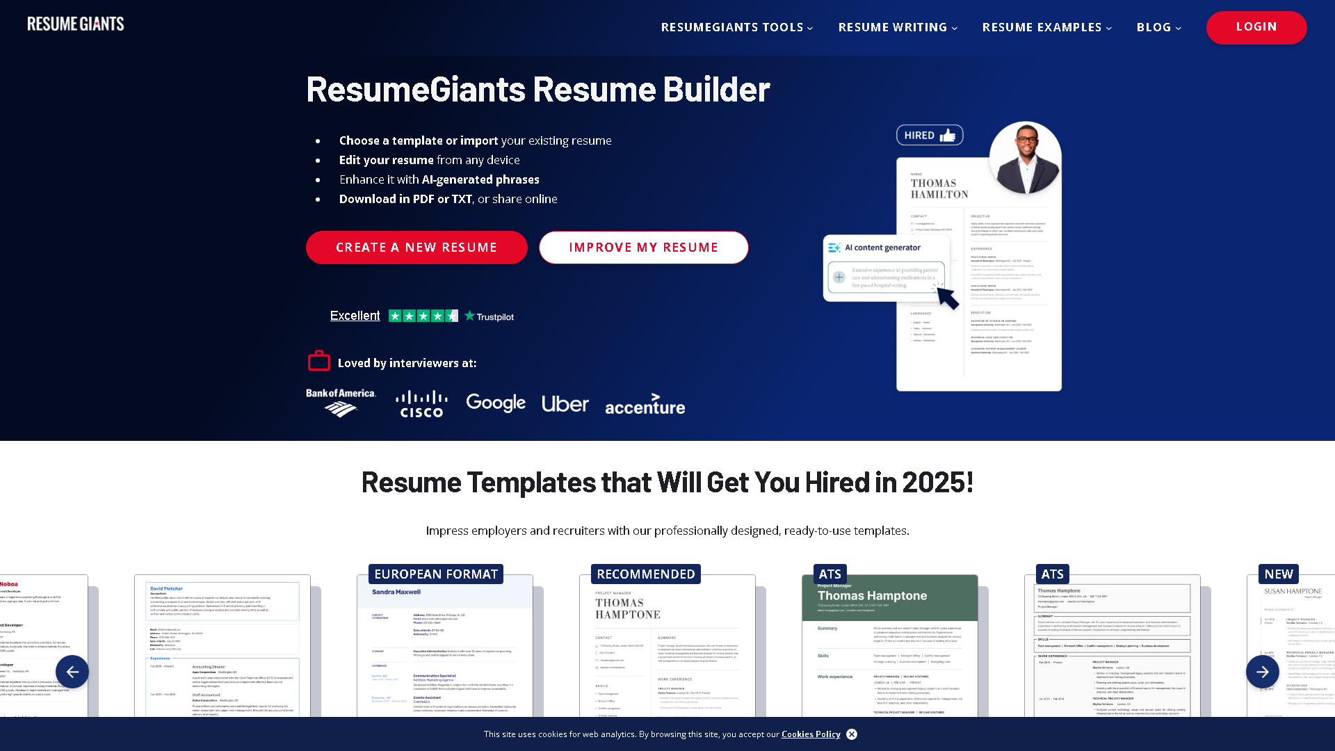 ResumeGiants Interface Screenshot - Writing & Editing Tool