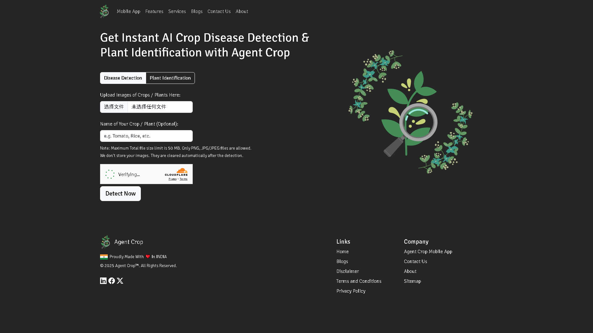 Agent Crop Interface Screenshot - Image Analysis Tool