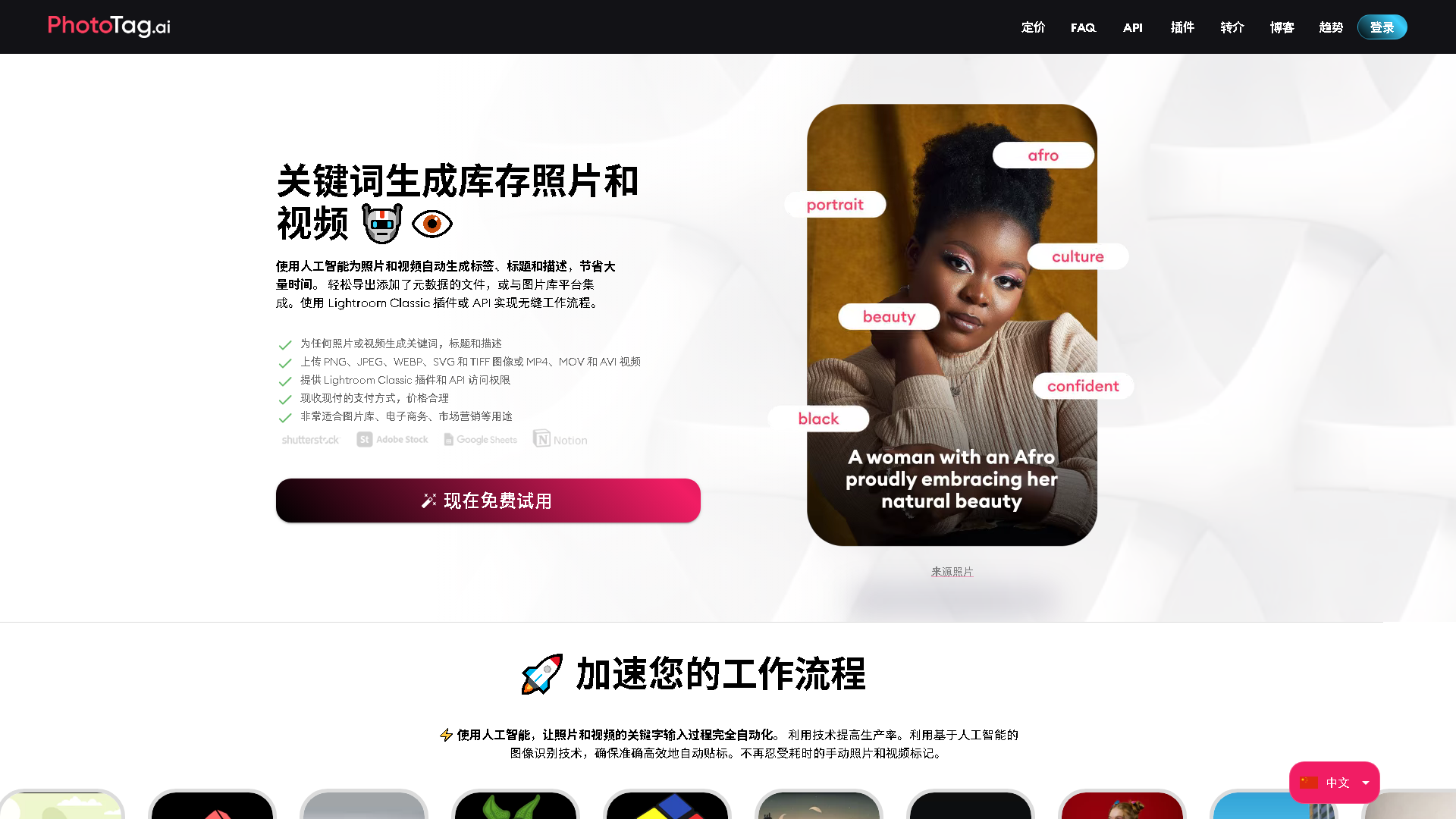 PhotoTag.ai Interface Screenshot - Writing & Editing Tool