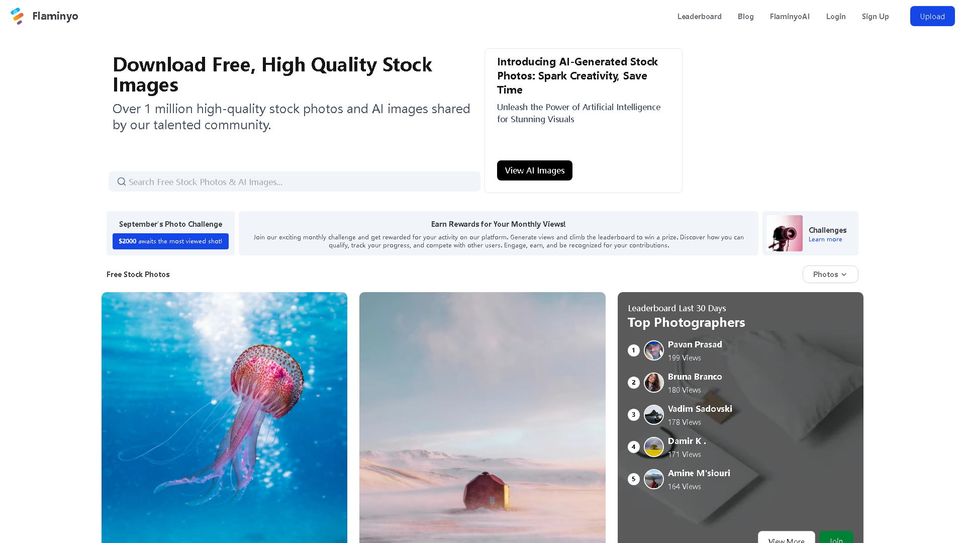 Flaminyo Interface Screenshot - Art & Creative Design Tool