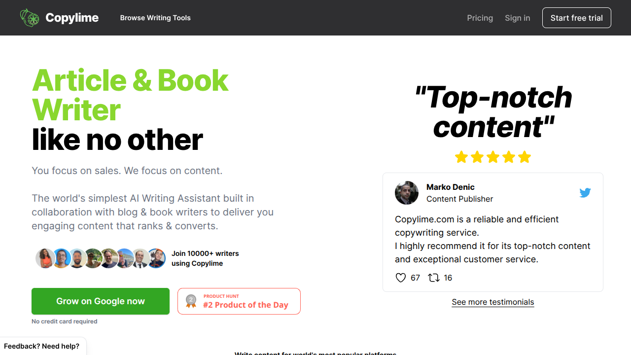 Copylime Interface Screenshot - Writing & Editing Tool