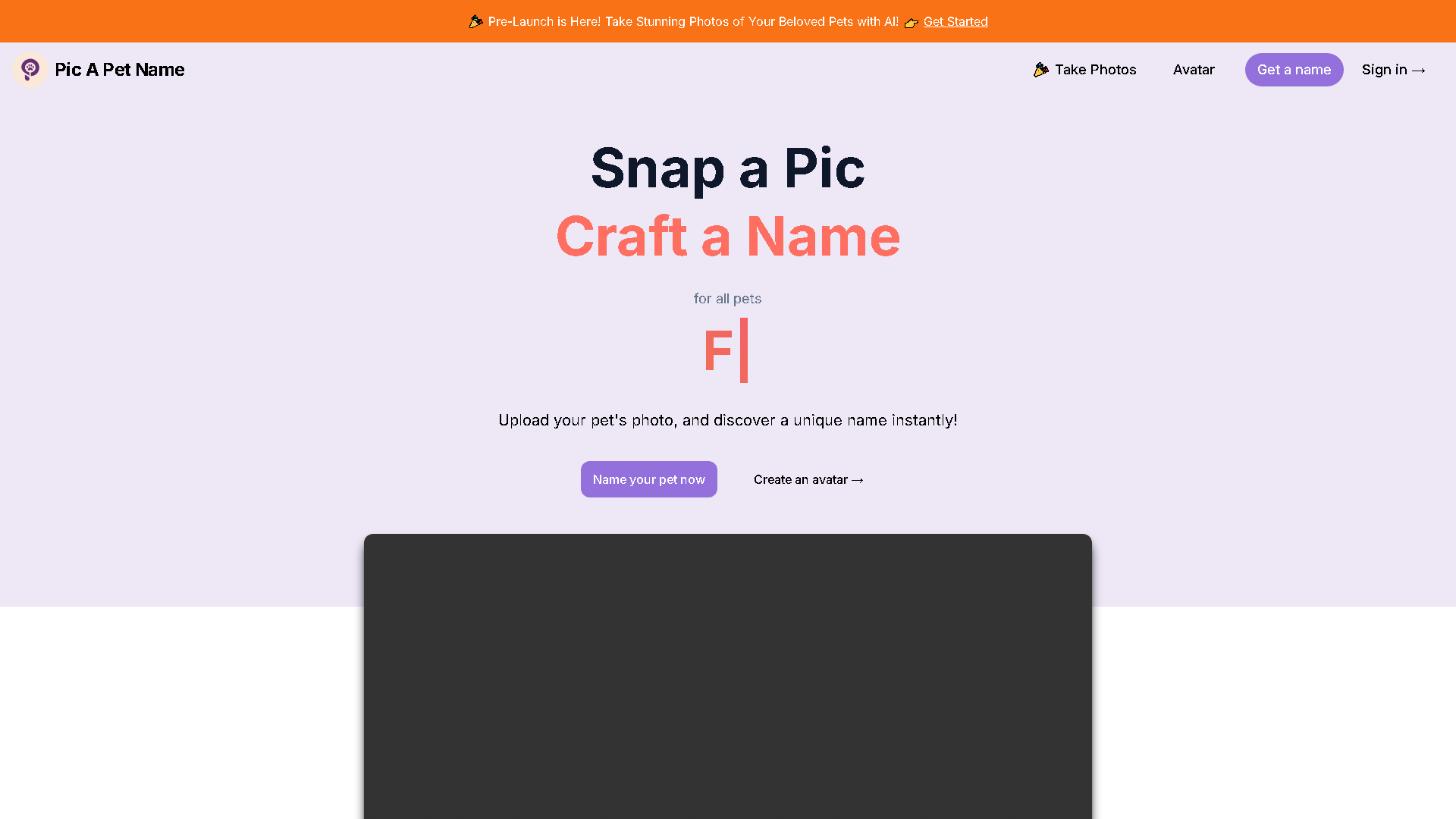 PicAPetName Interface Screenshot - Writing & Editing Tool