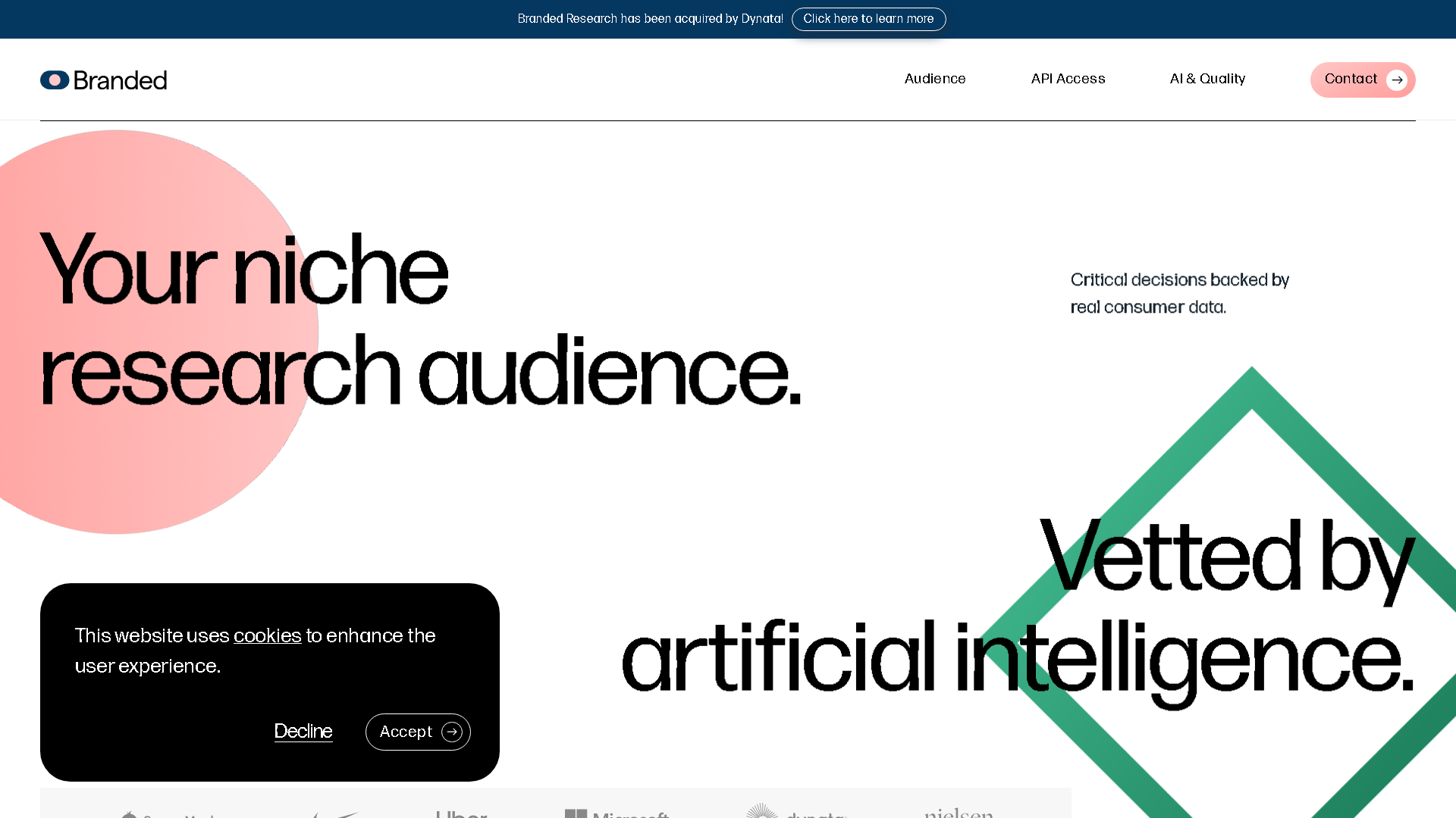 Branded Interface Screenshot - AI Detection & Anti-Detection Tool