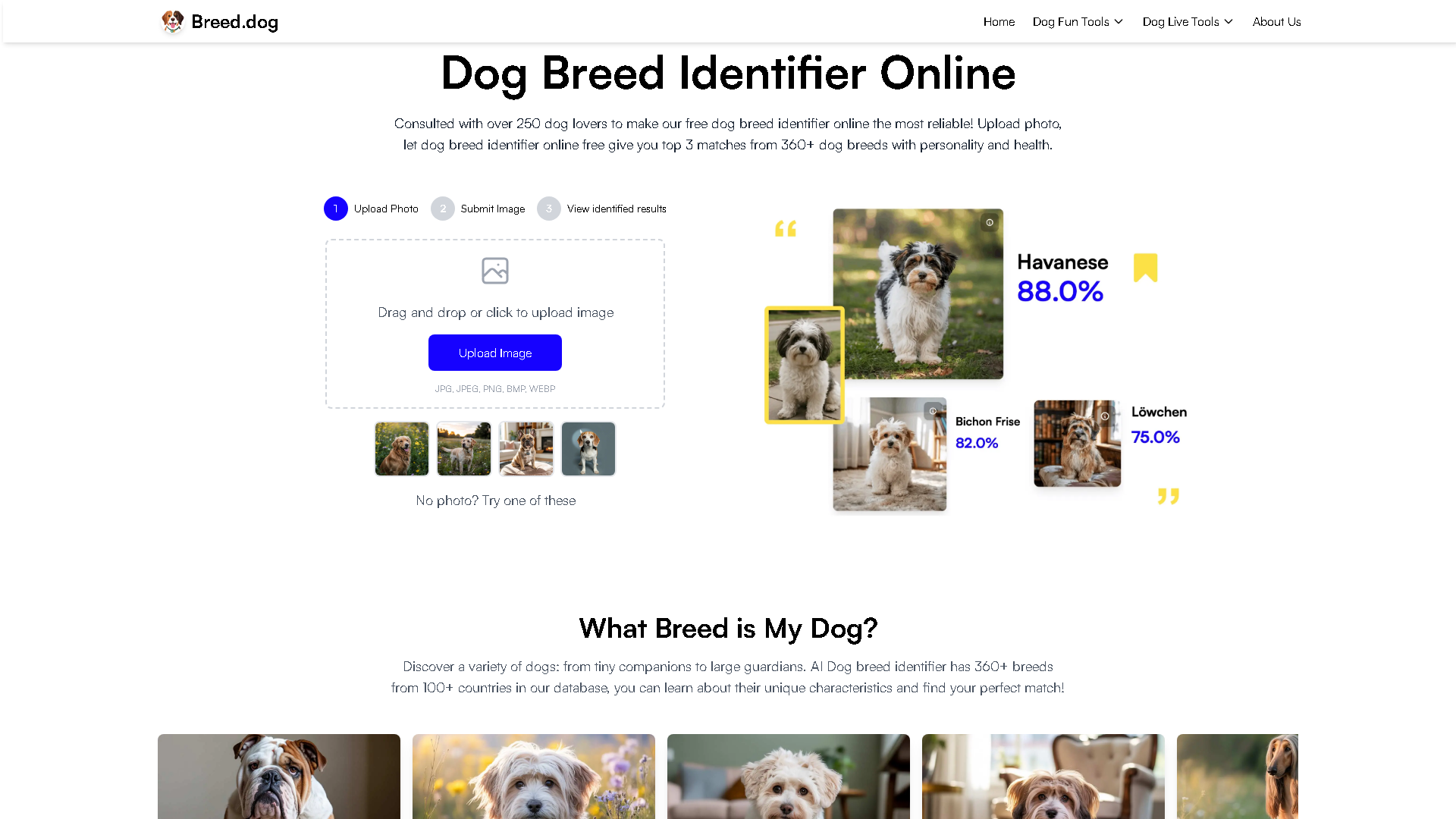 Breed.dog Interface Screenshot - Writing & Editing Tool