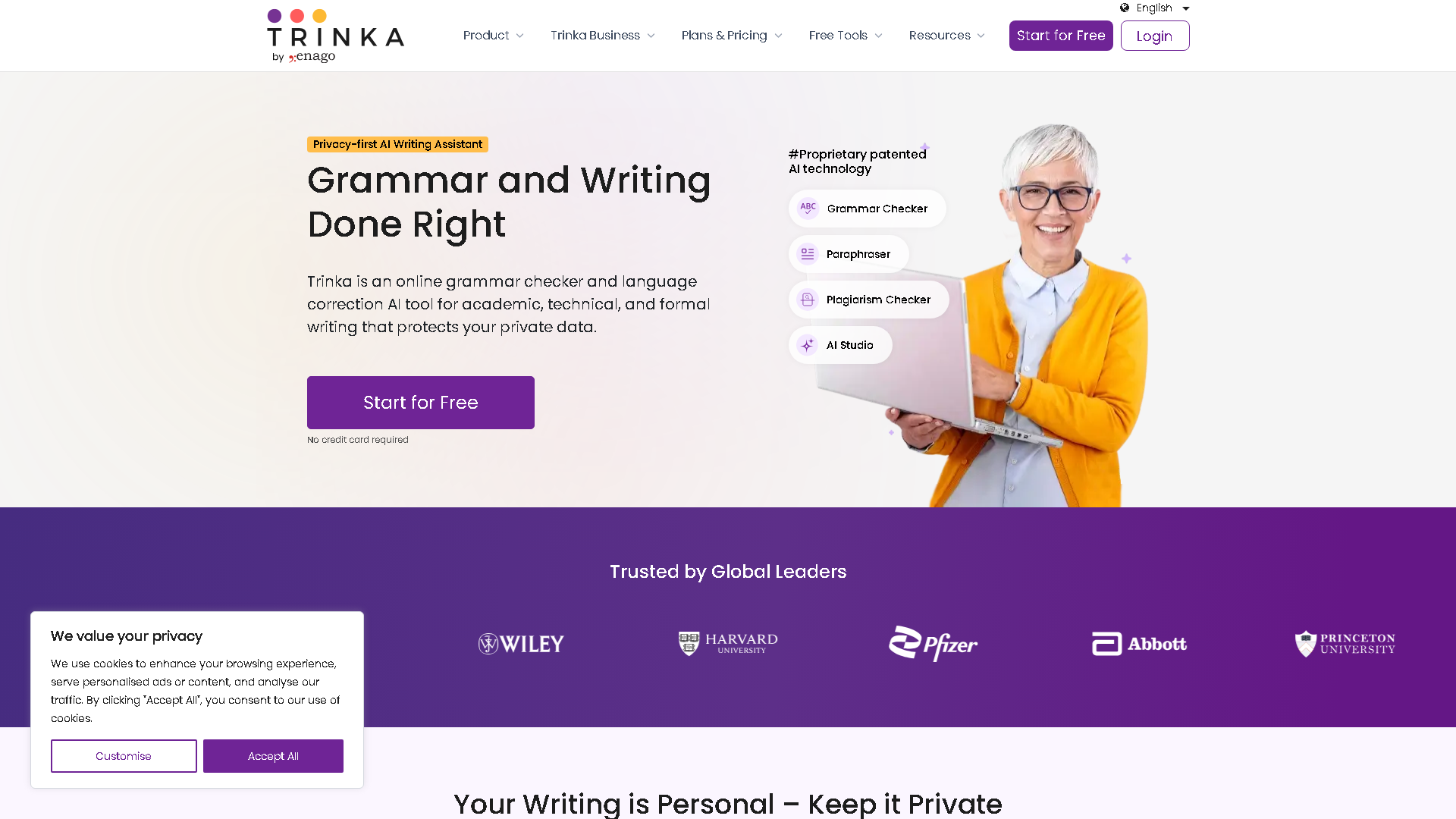Trinka AI Interface Screenshot - Writing & Editing Tool