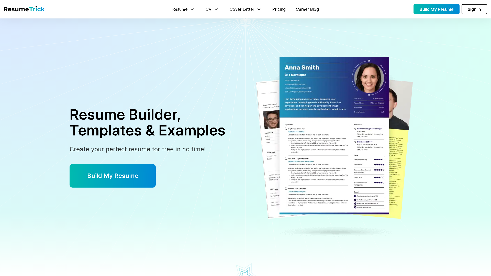 Resume Trick Interface Screenshot - Writing & Editing Tool