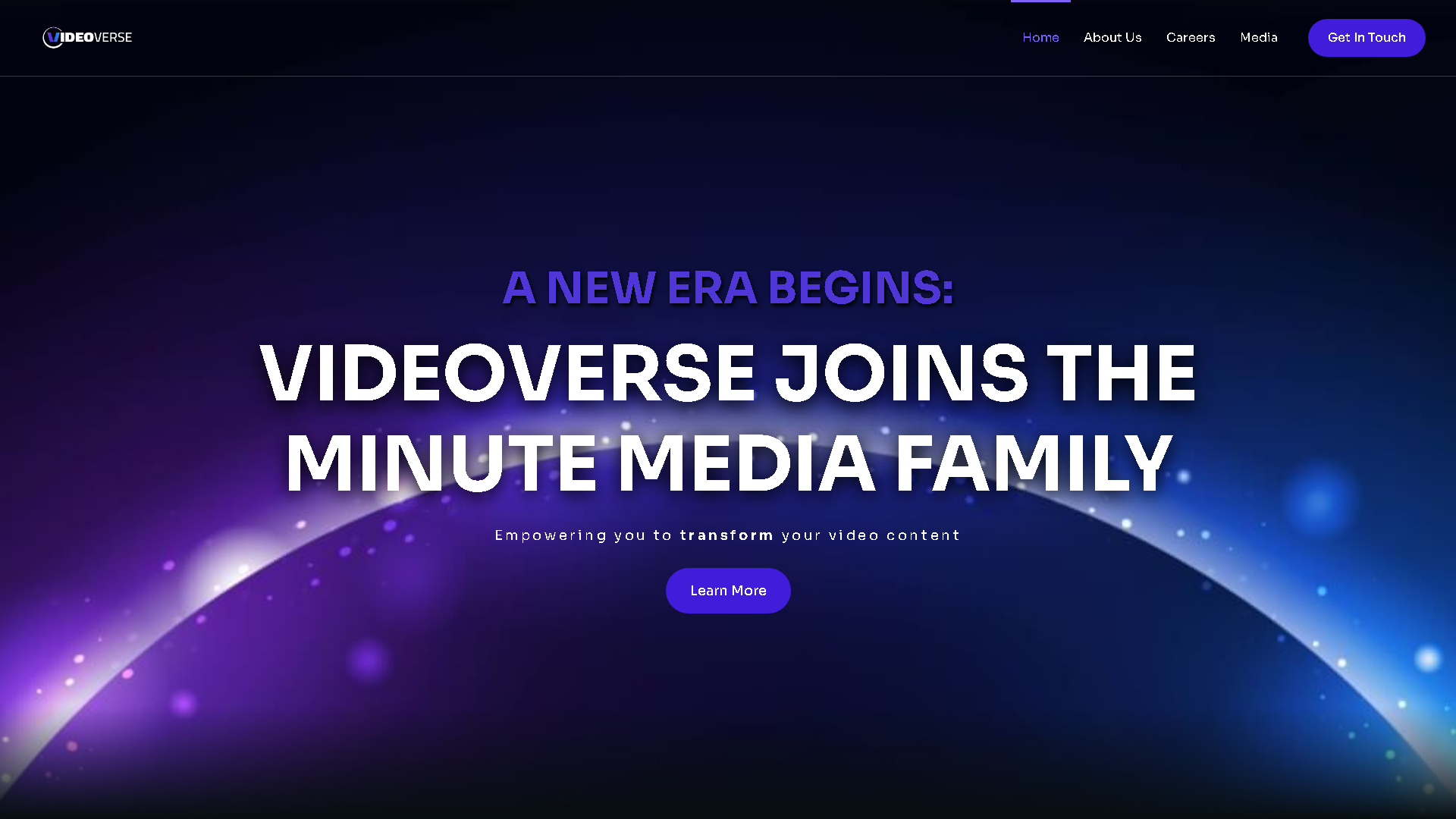 VideoVerse Interface Screenshot - AI Detection & Anti-Detection Tool
